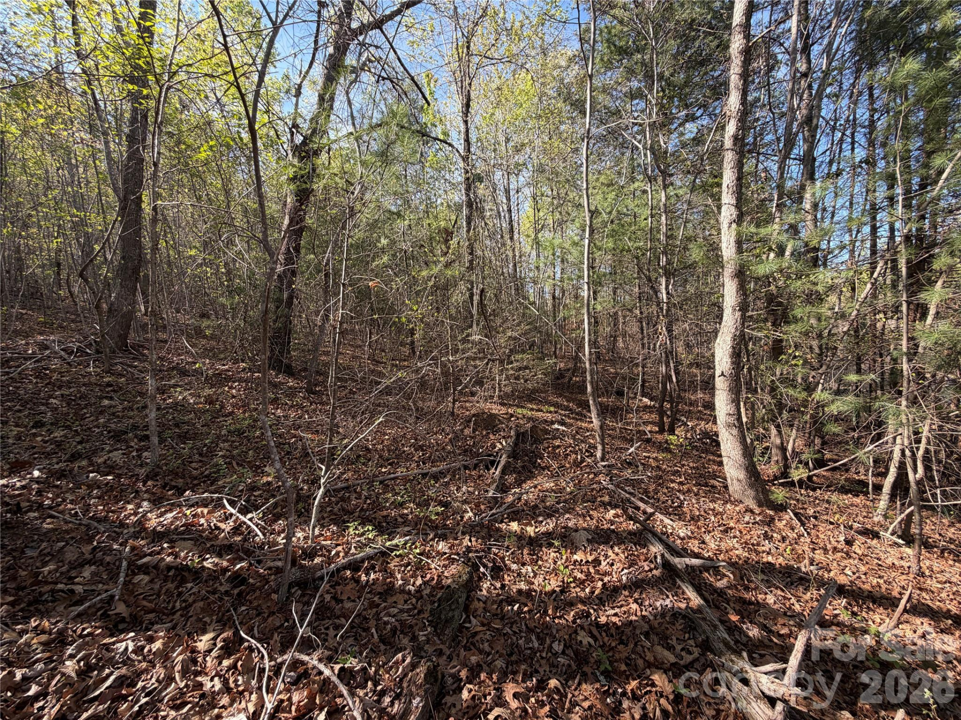 0 Running Cedar Trail - Photo 10