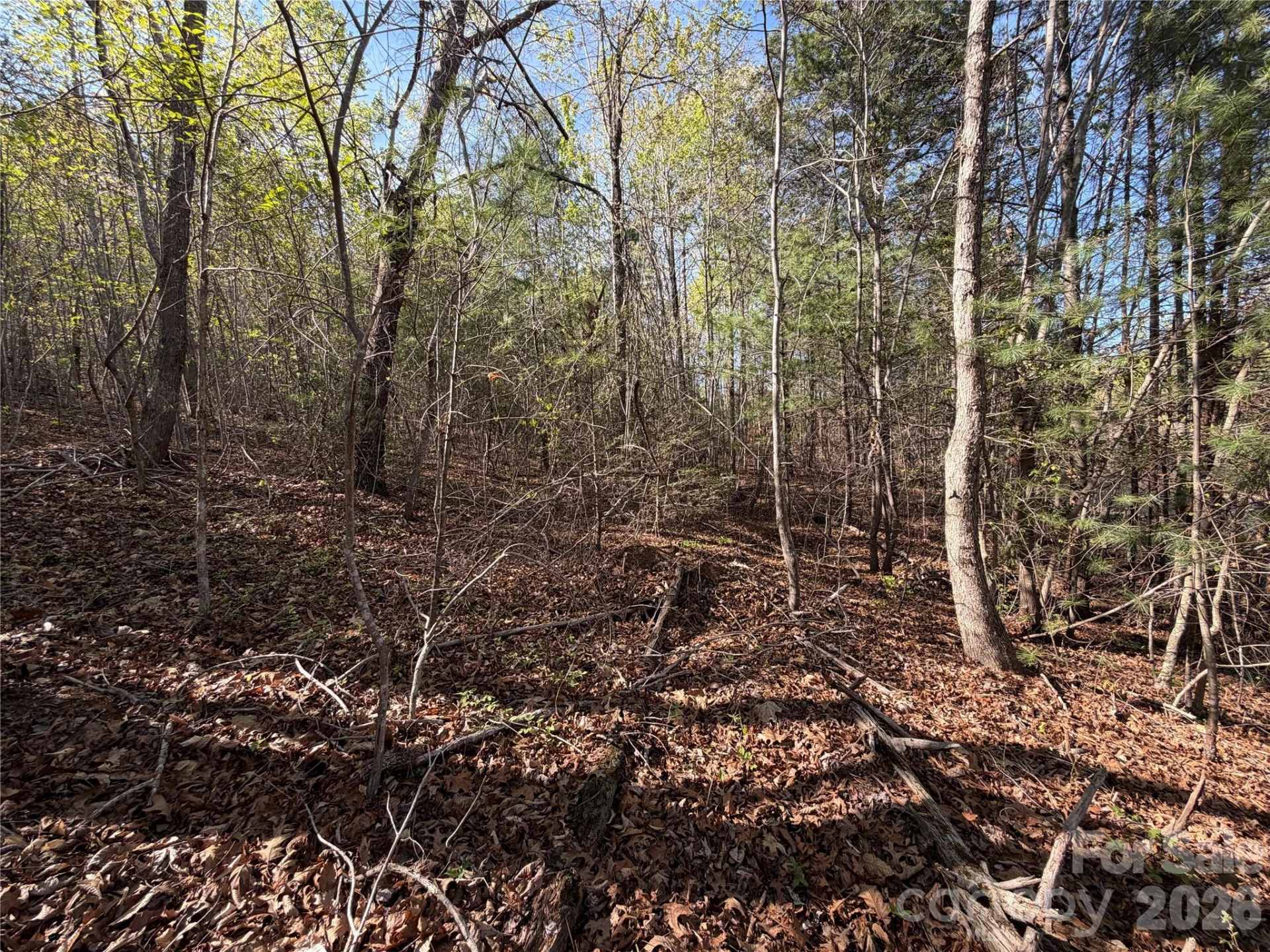 0 Denton Avenue - Photo 10