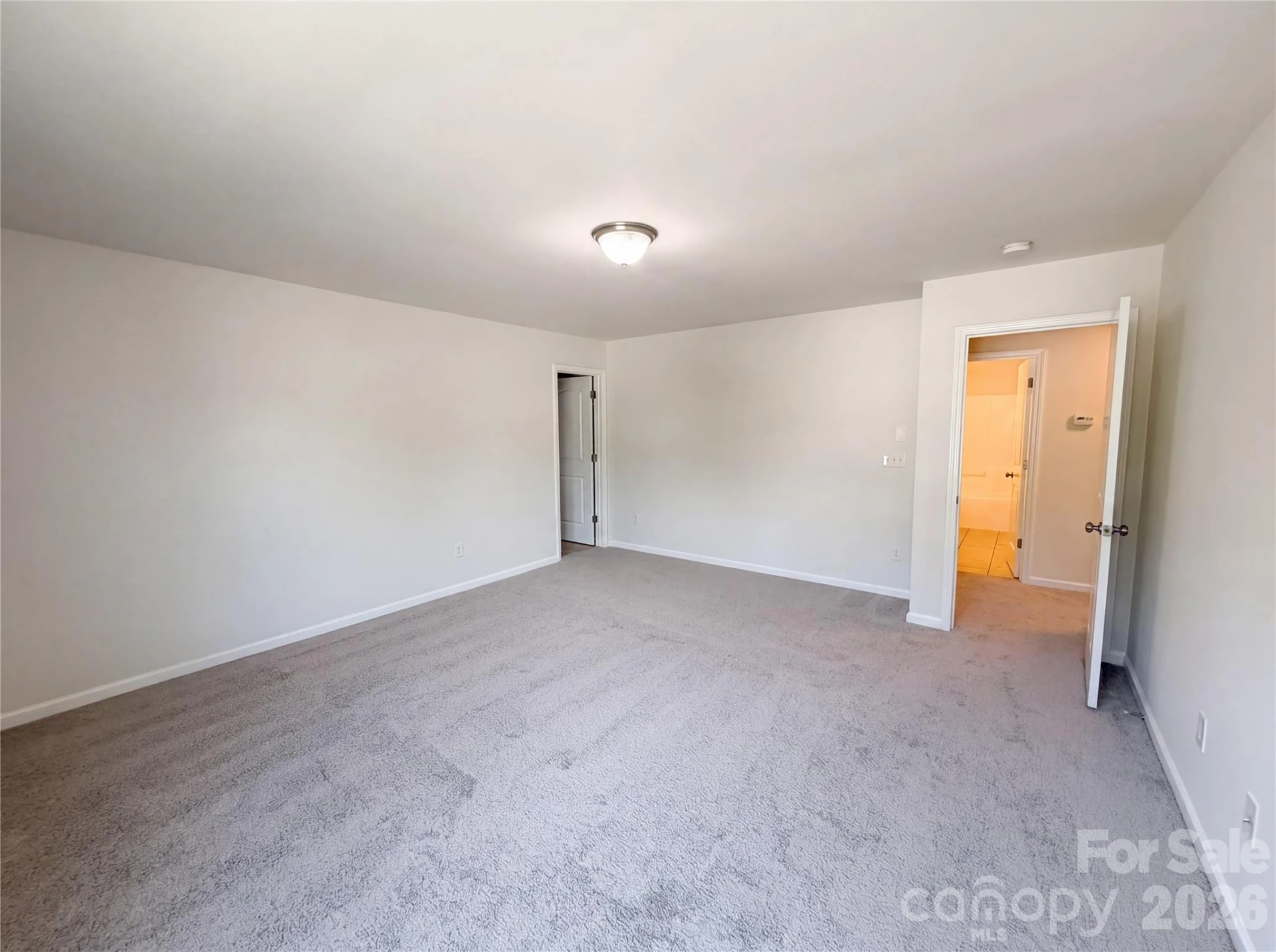 3214 Ringtail Lane - Photo 11