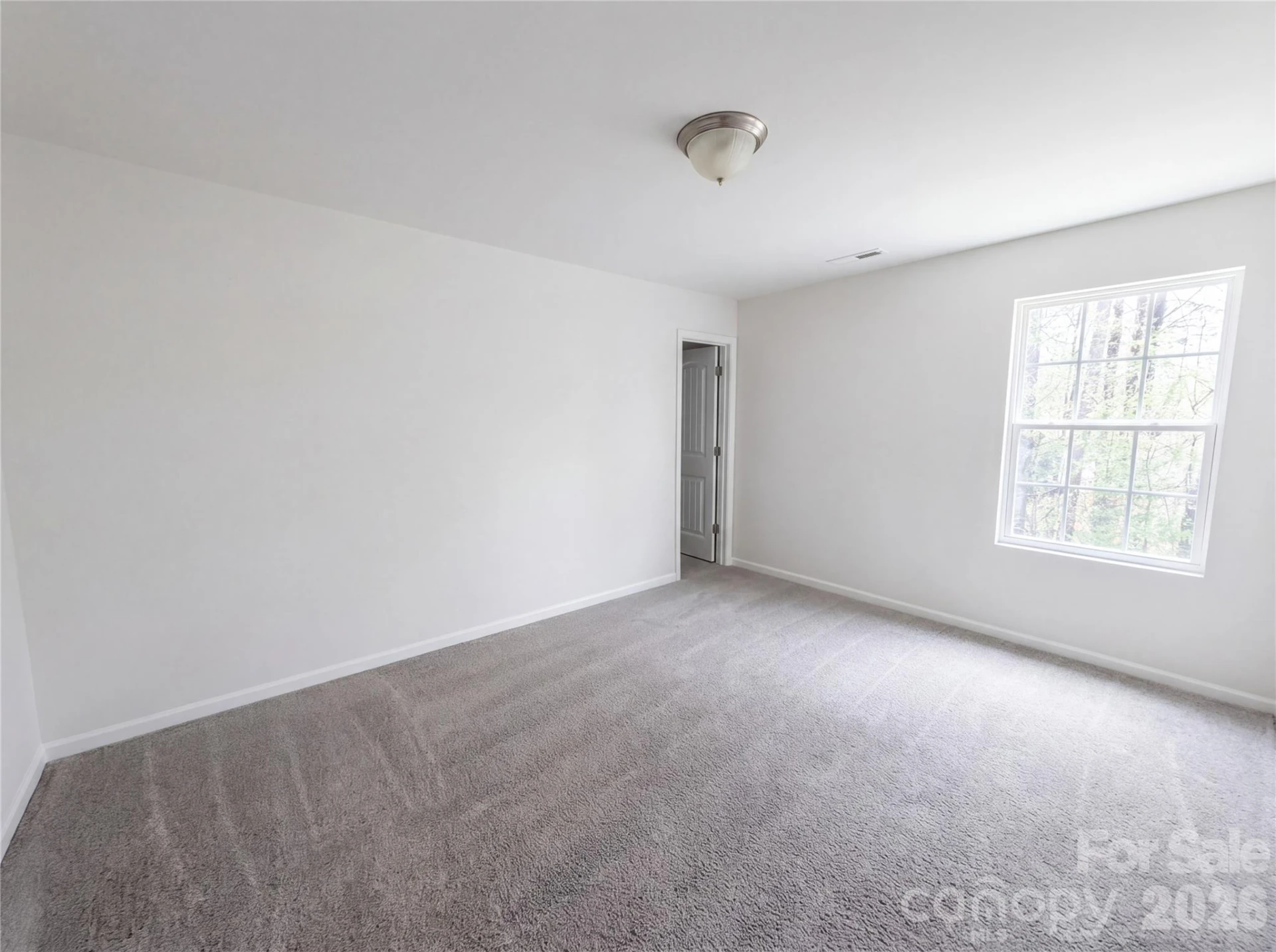 3214 Ringtail Lane - Photo 13