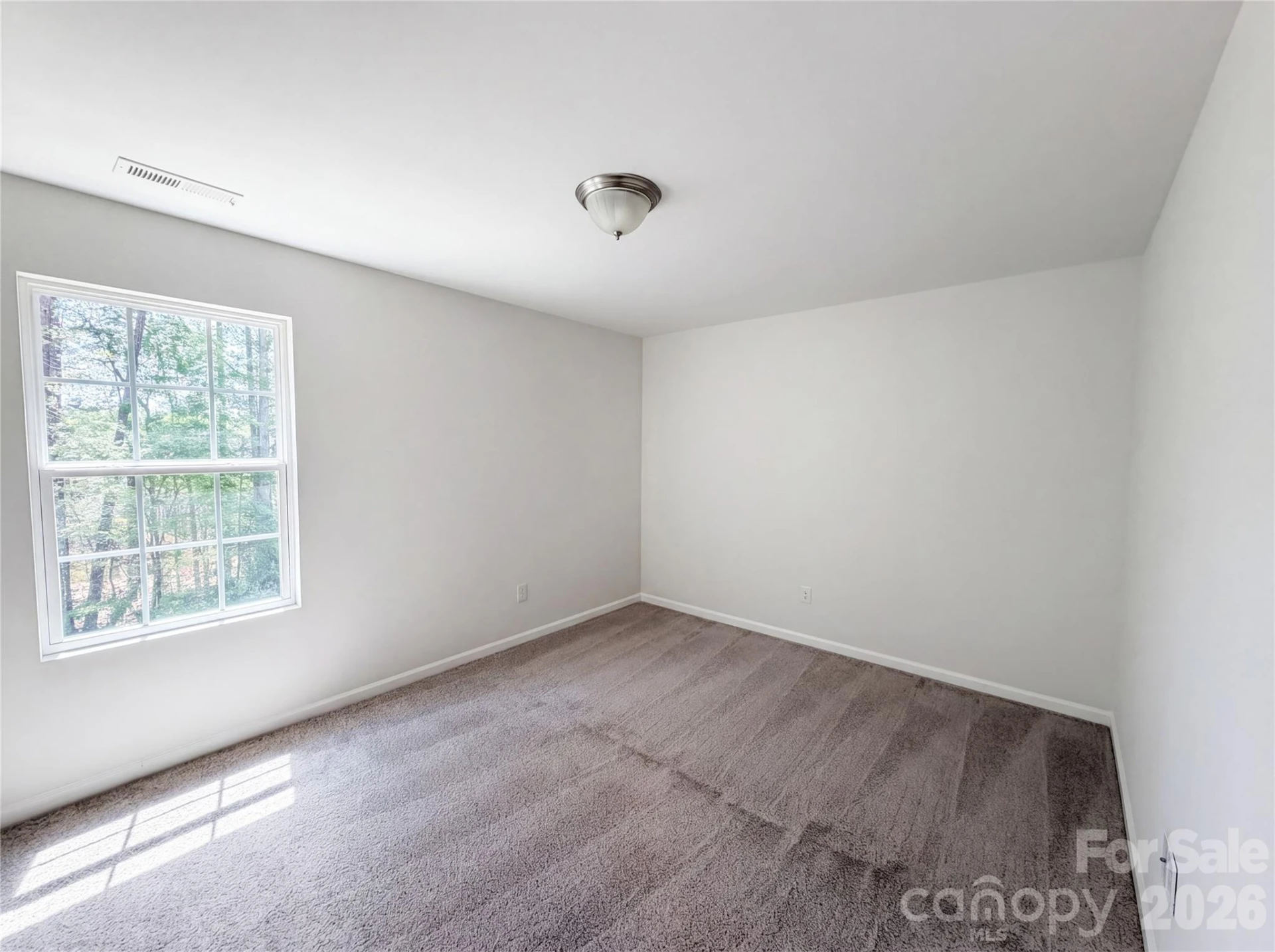 3214 Ringtail Lane - Photo 17