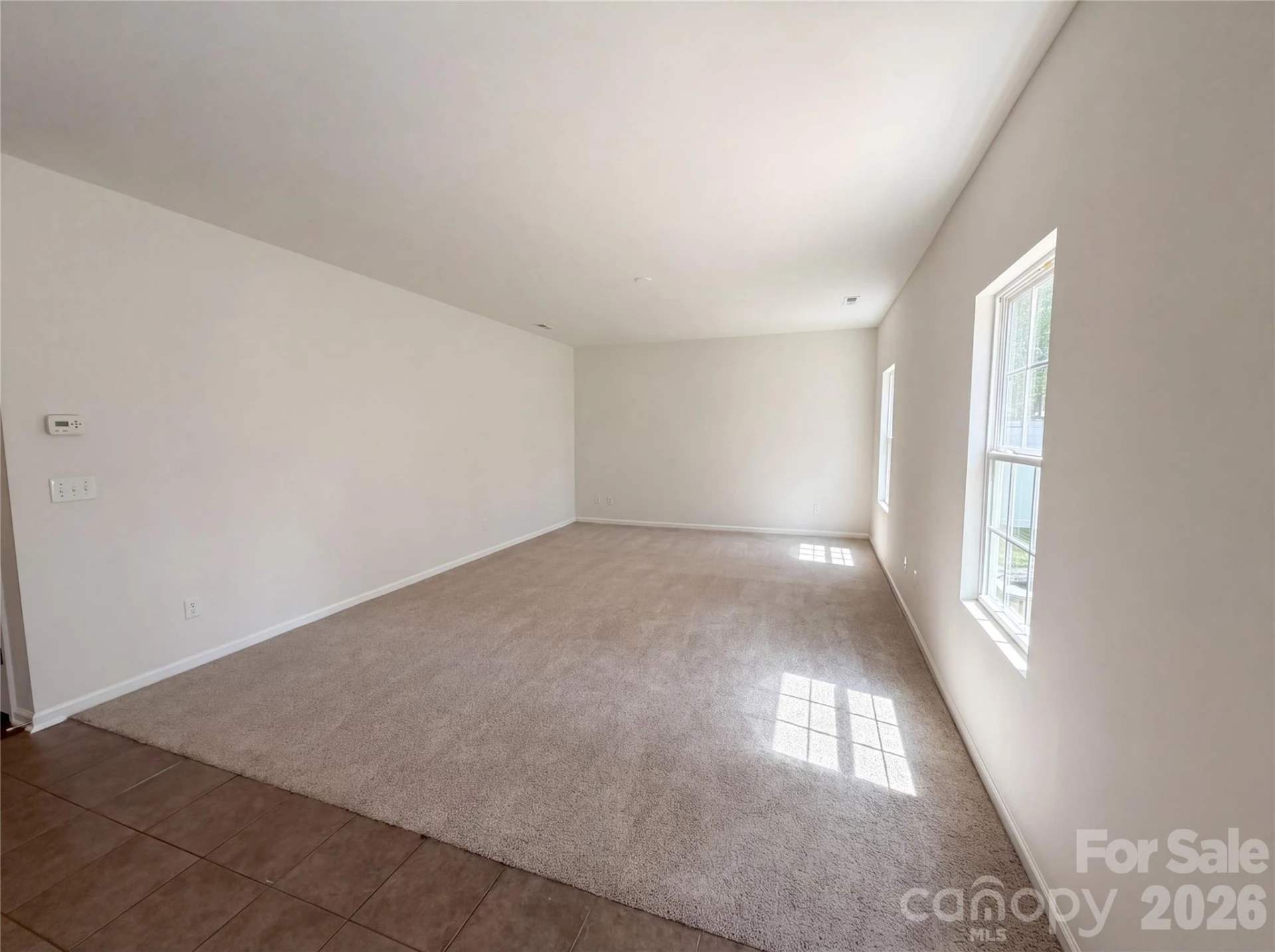 3214 Ringtail Lane - Photo 9
