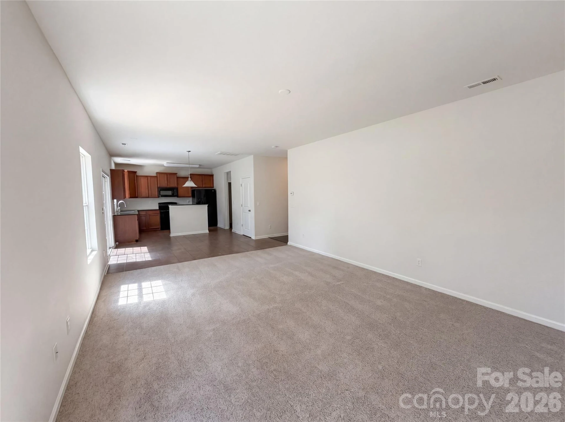 3214 Ringtail Lane - Photo 10