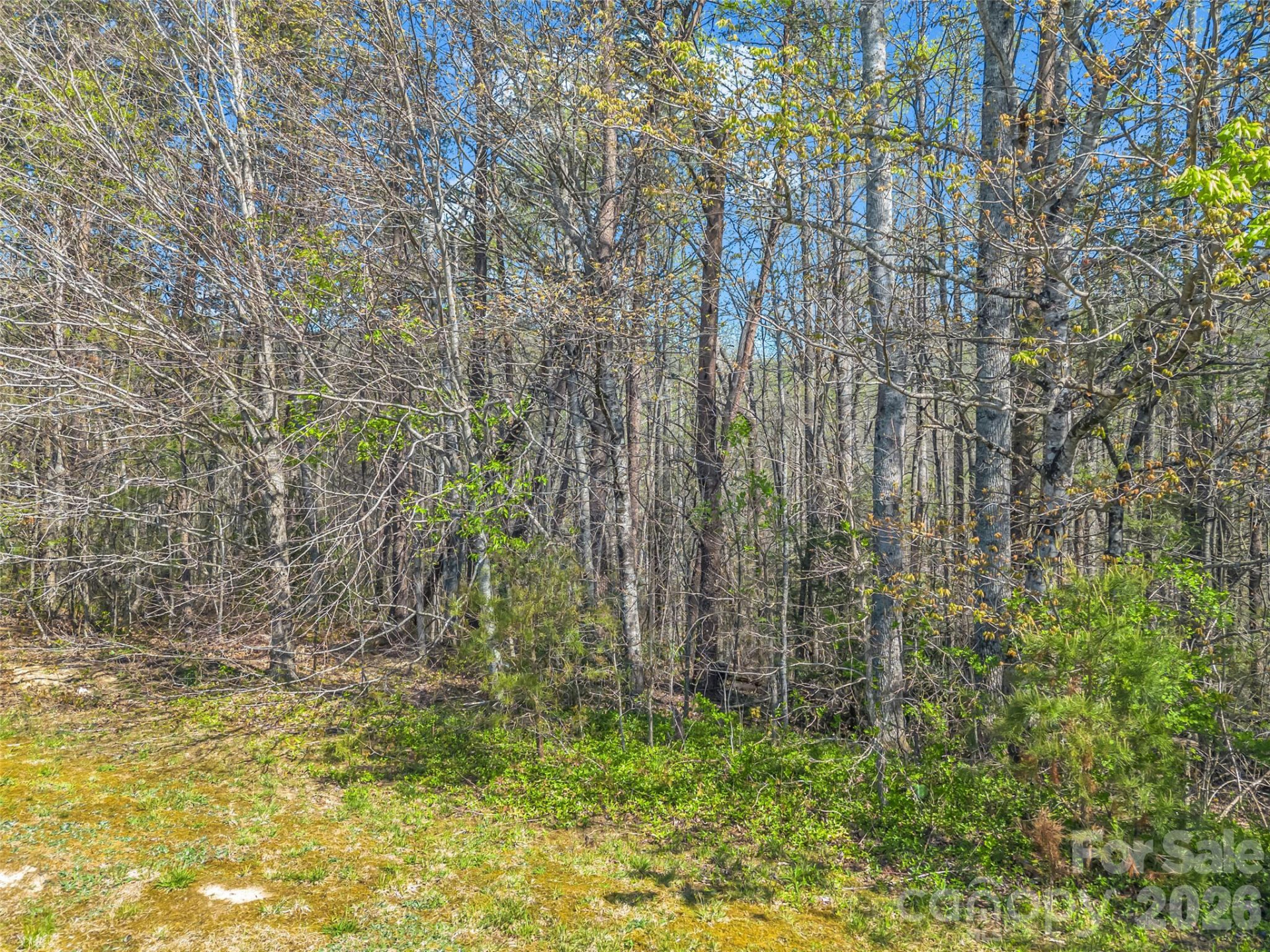 83 Sunny Morning Court - Photo 28