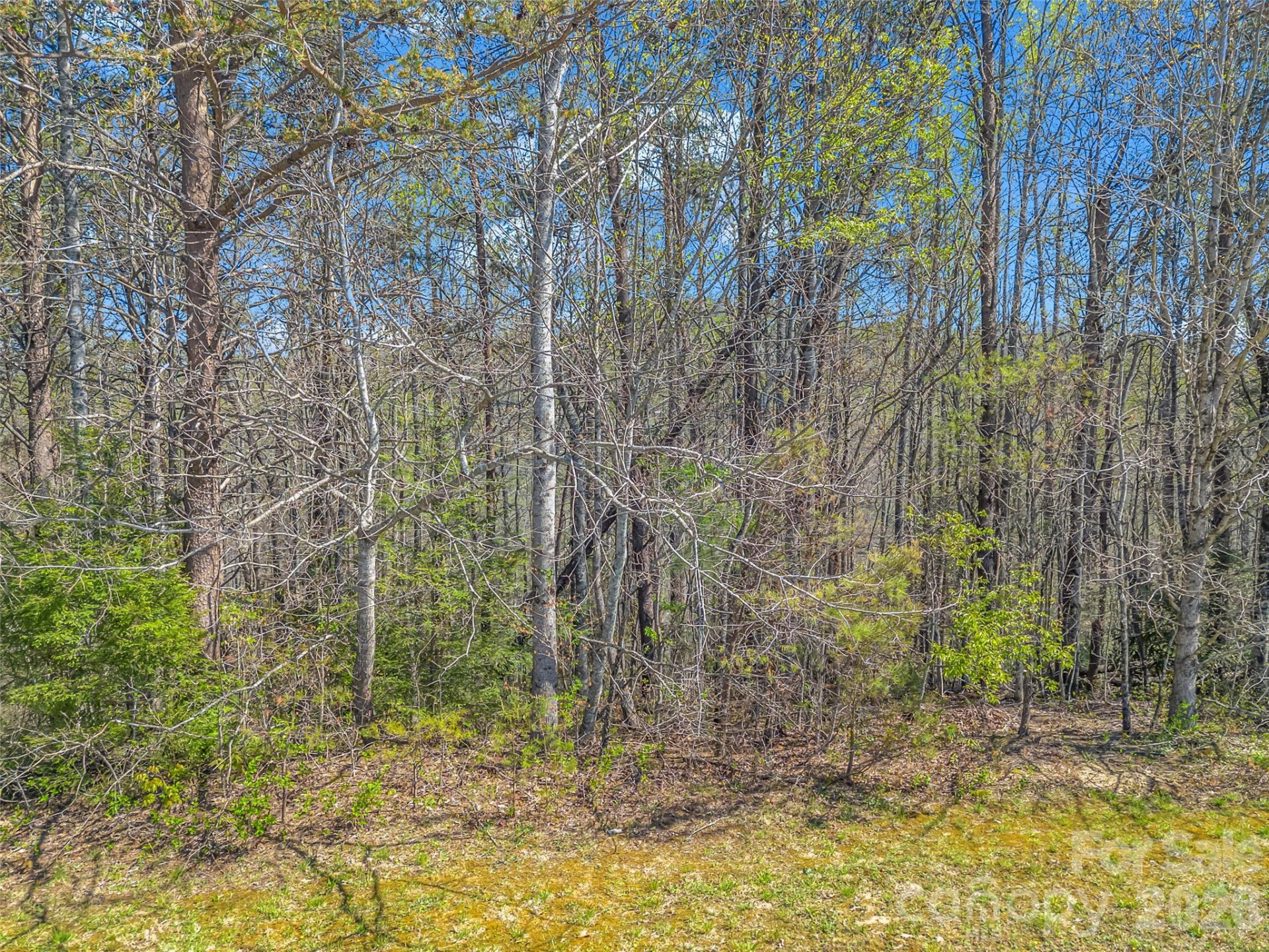 83 Sunny Morning Court - Photo 29