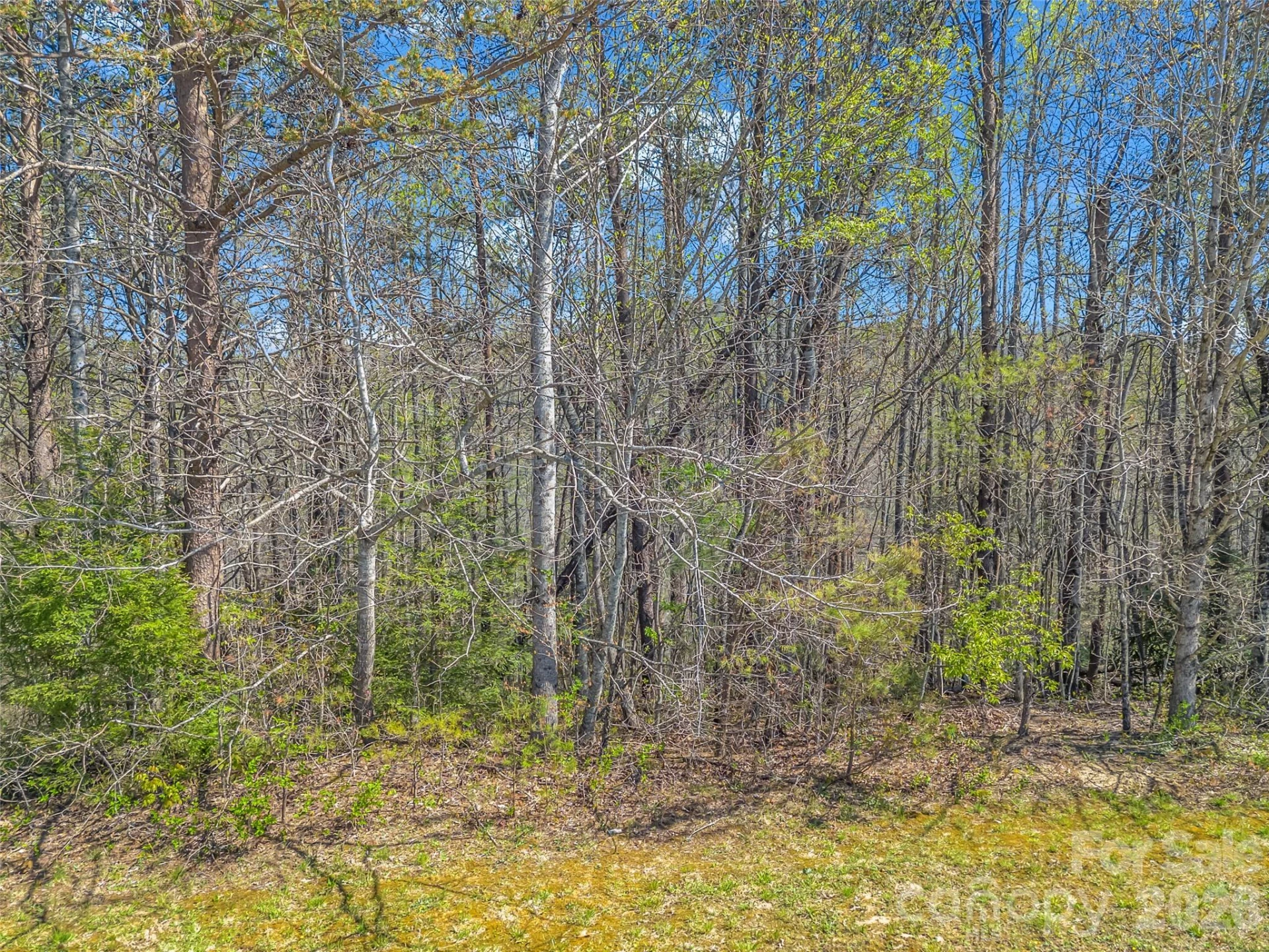 83 Sunny Morning Court - Photo 29