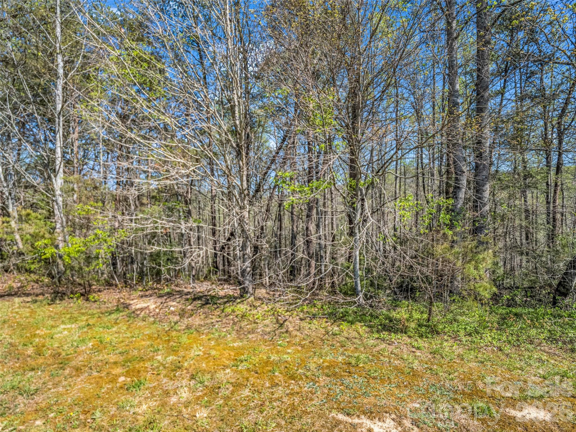 83 Sunny Morning Court - Photo 30