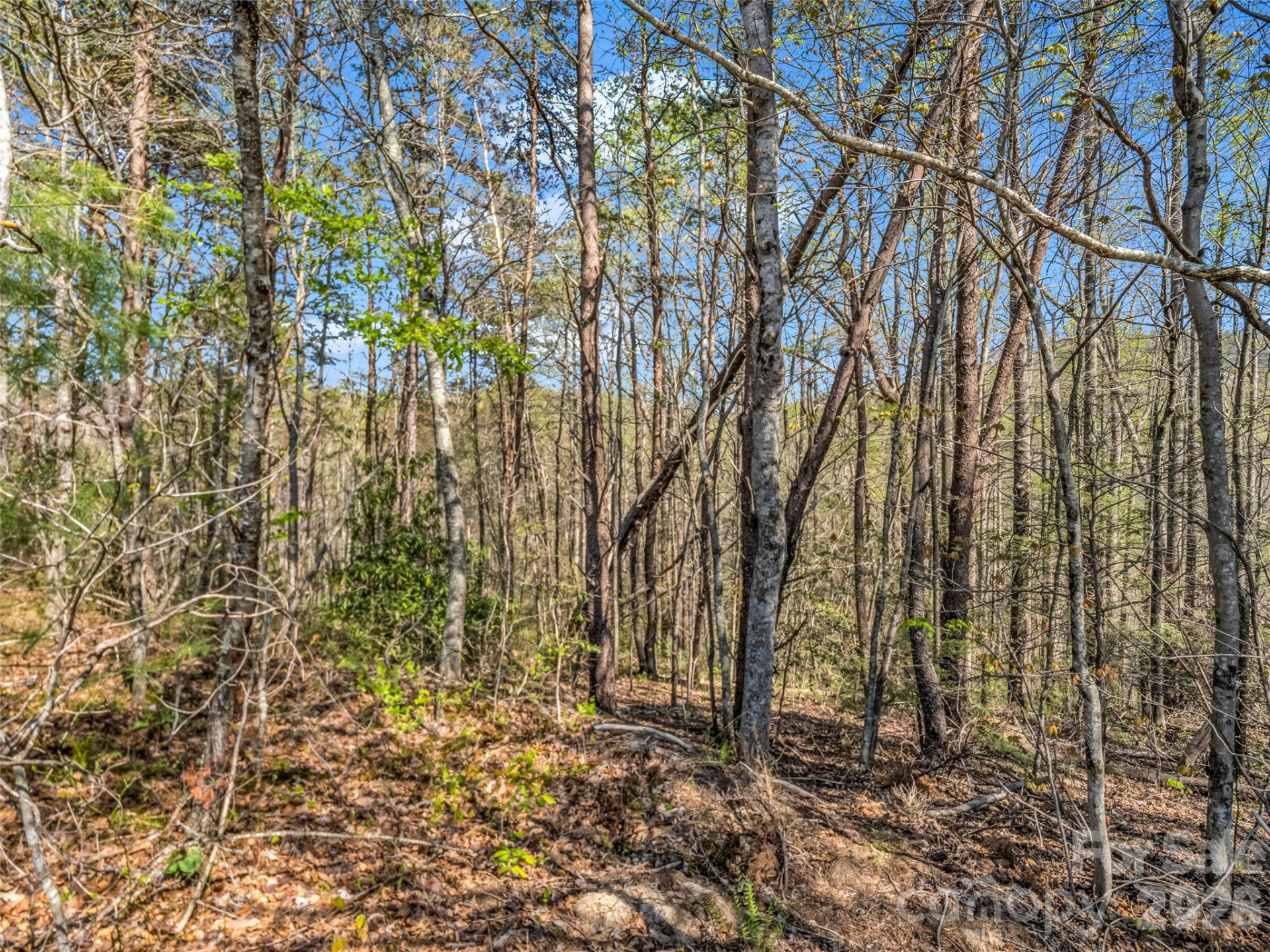 83 Sunny Morning Court - Photo 31