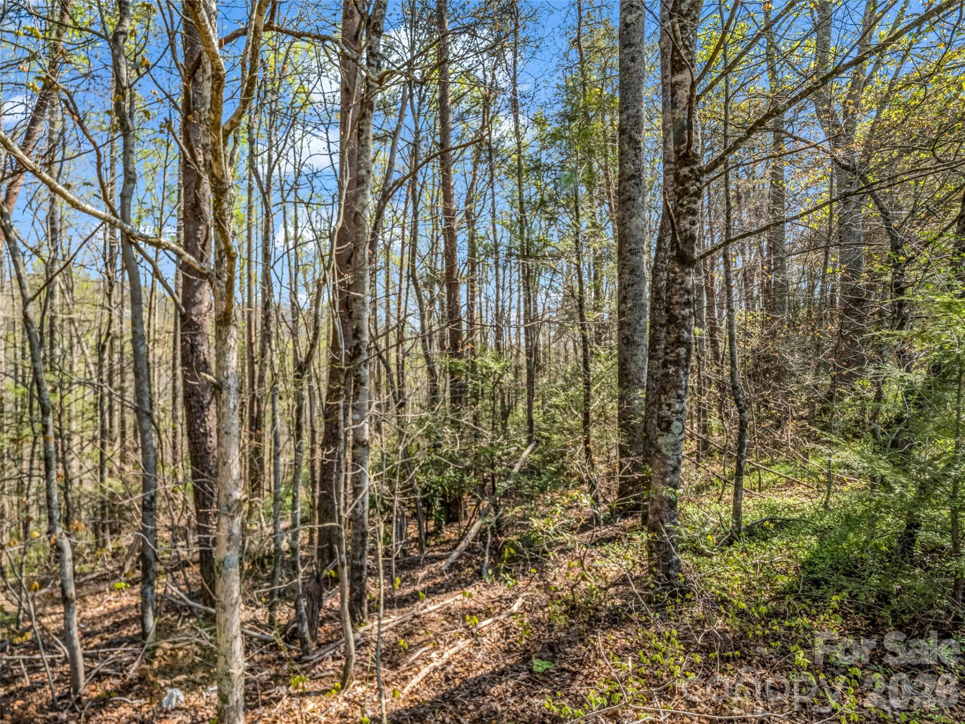 83 Sunny Morning Court - Photo 32