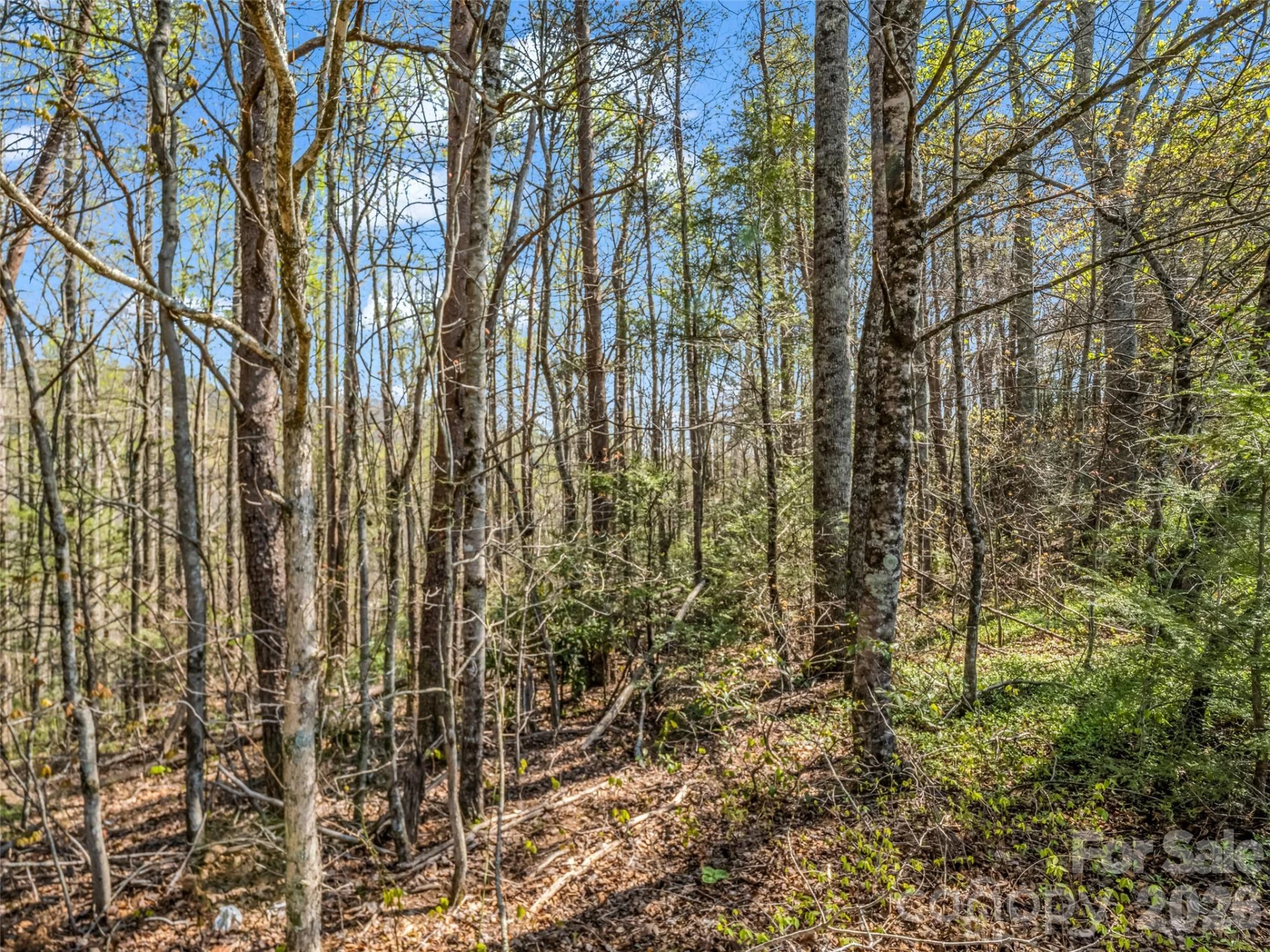 83 Sunny Morning Court - Photo 32
