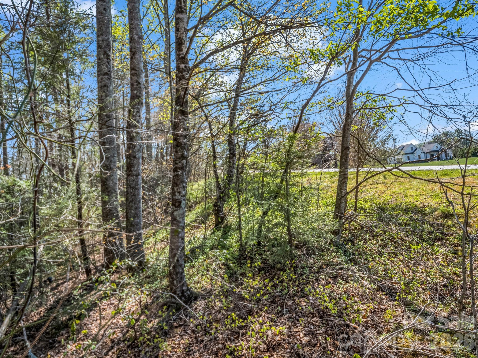 83 Sunny Morning Court - Photo 34