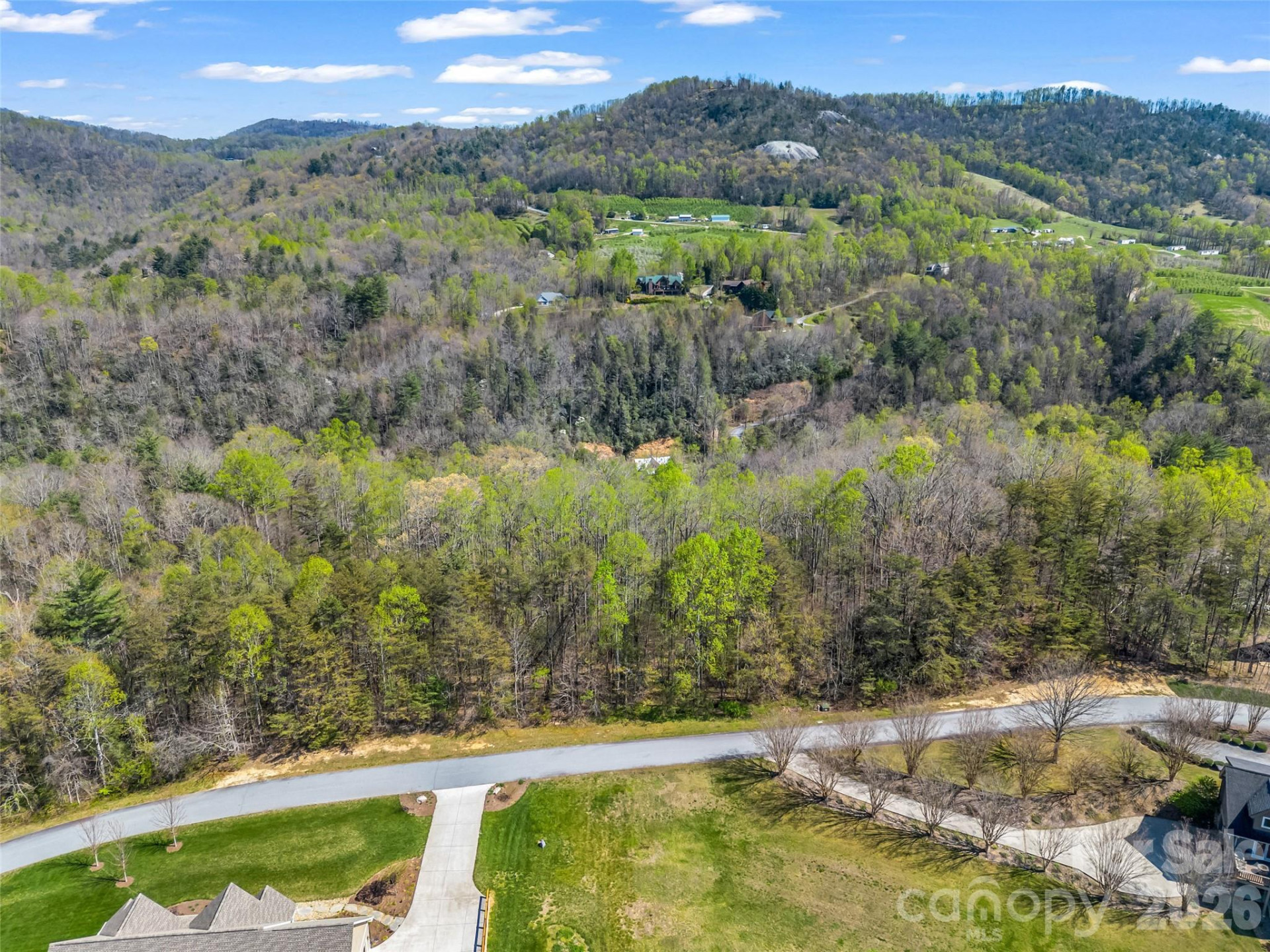 83 Sunny Morning Court - Photo 5