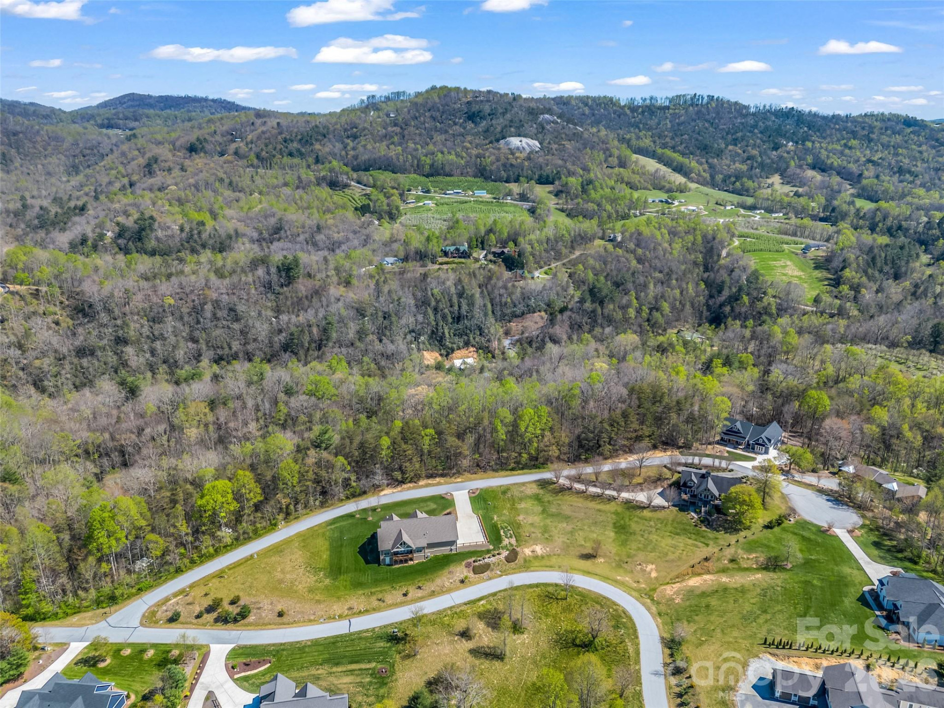 83 Sunny Morning Court - Photo 6