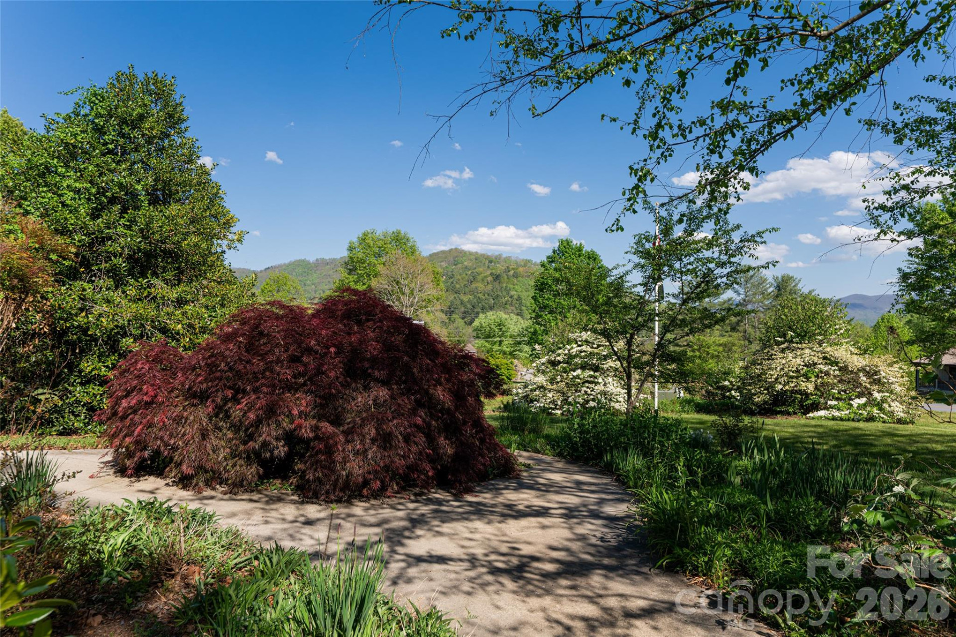 7 Ashley Road - Photo 7