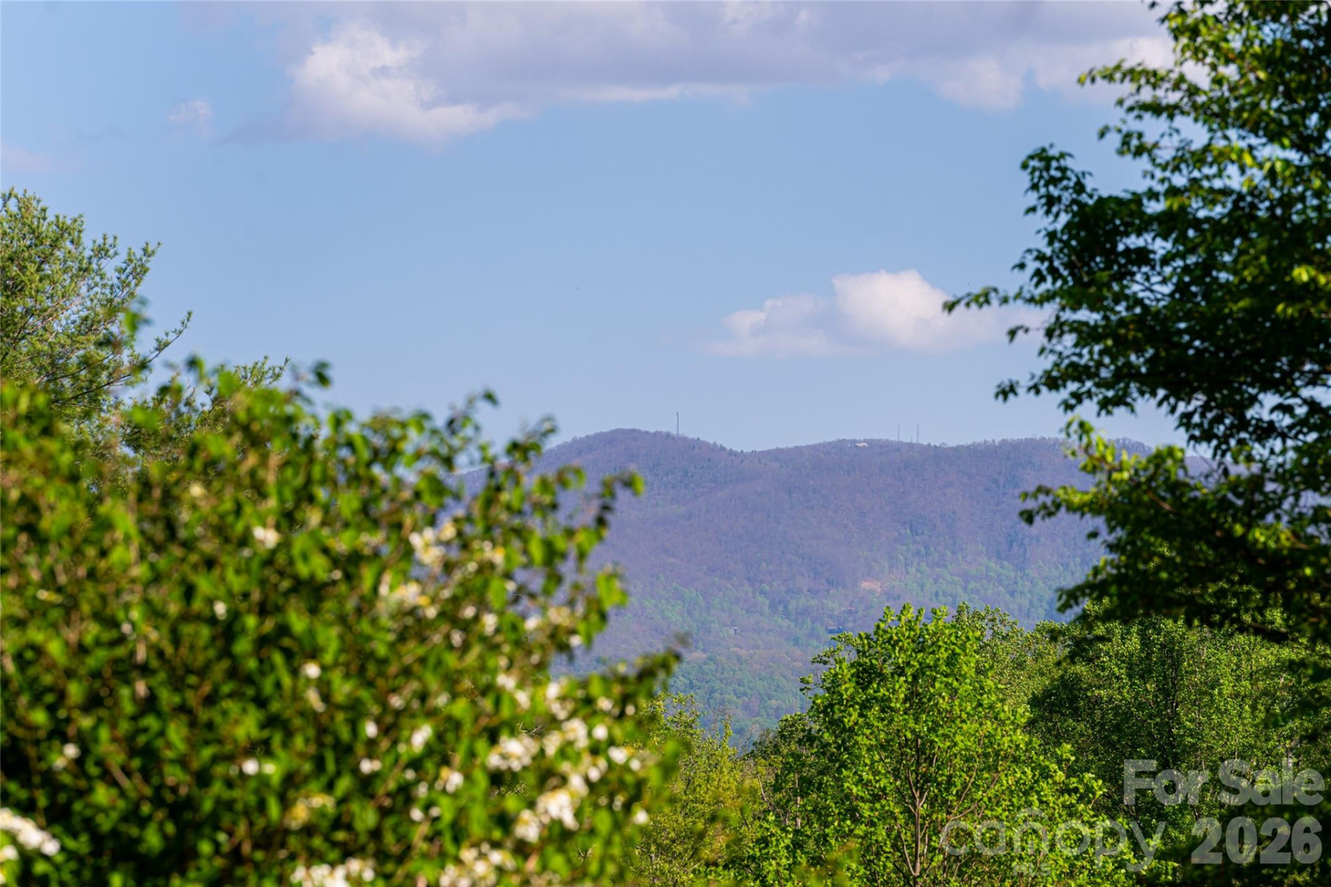 7 Ashley Road - Photo 8