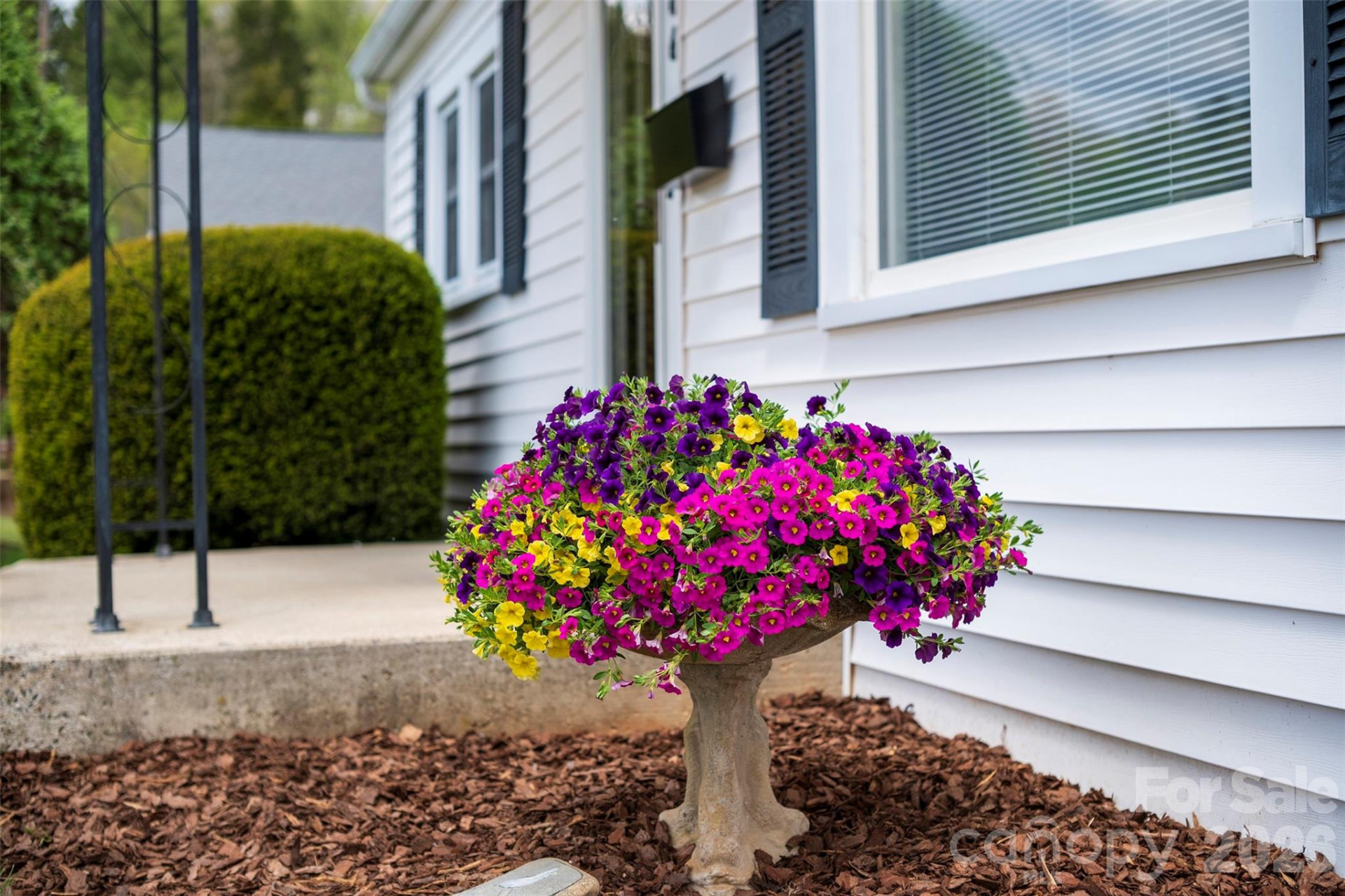 166 Spruce Street - Photo 3