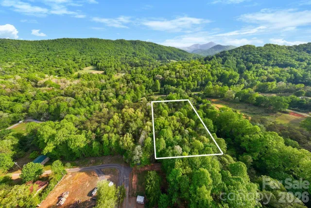 99999 Elana Chase Drive, Candler, NC, 28715