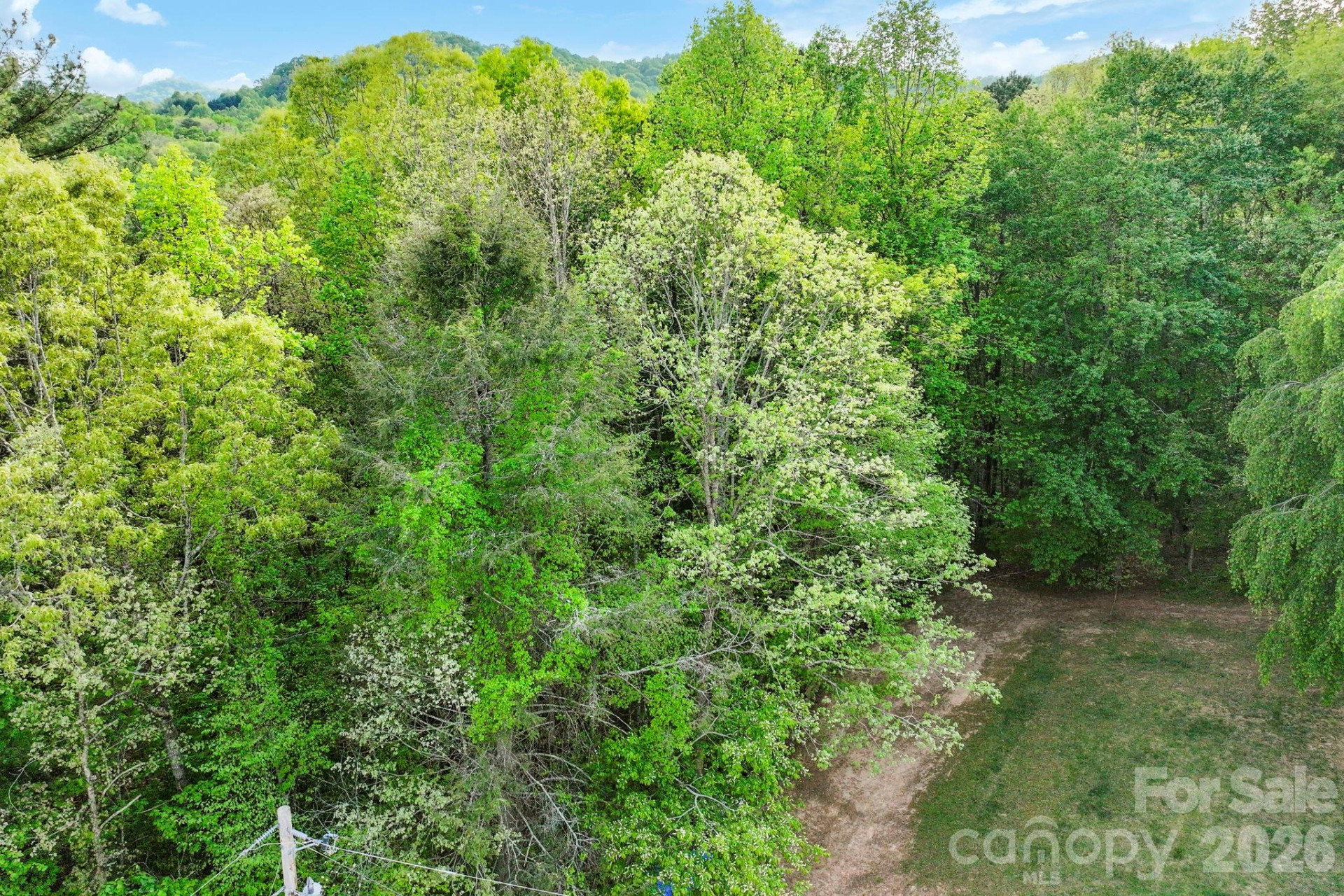 99999 Elana Chase Drive - Photo 12