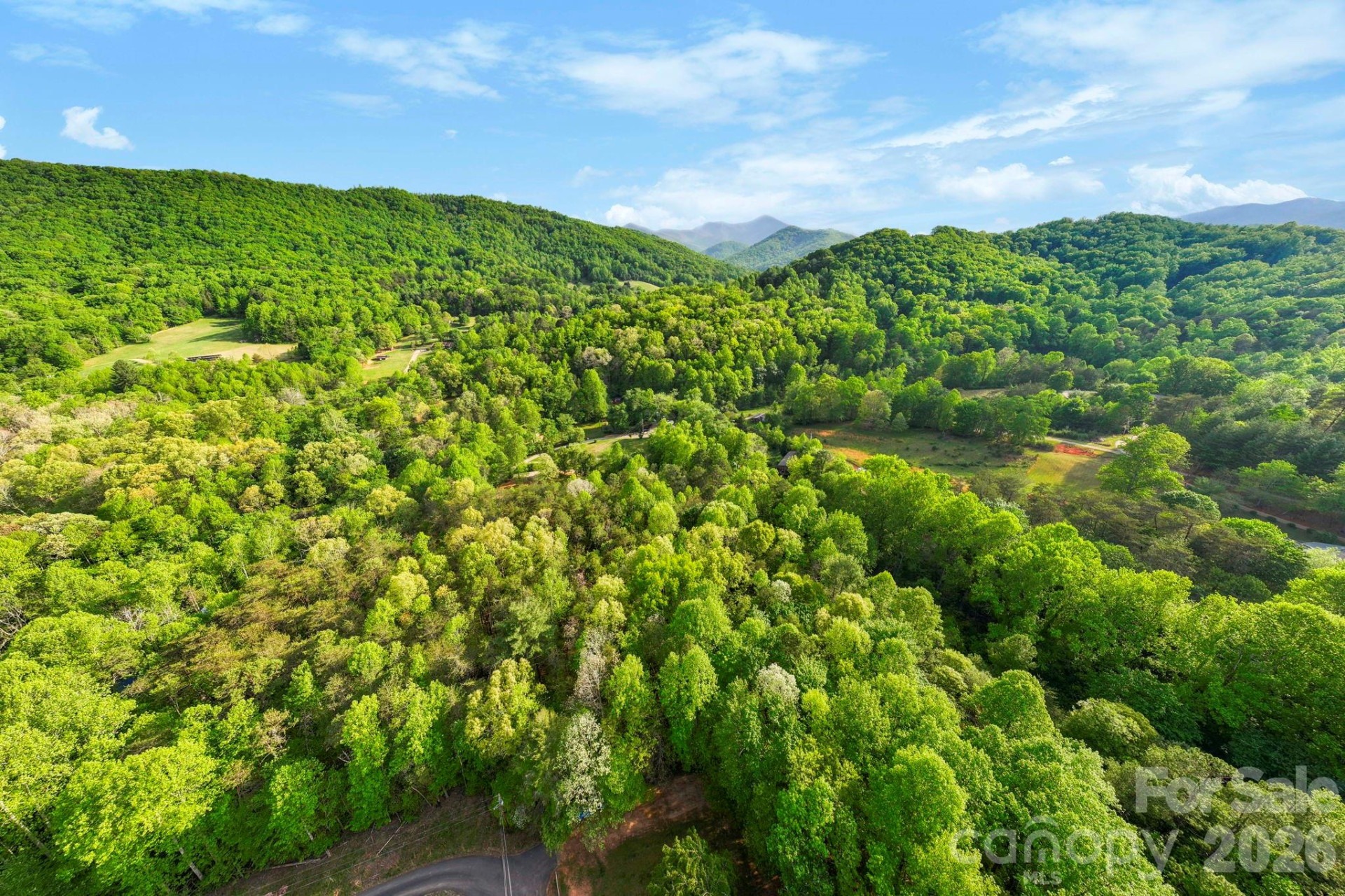 99999 Elana Chase Drive - Photo 4