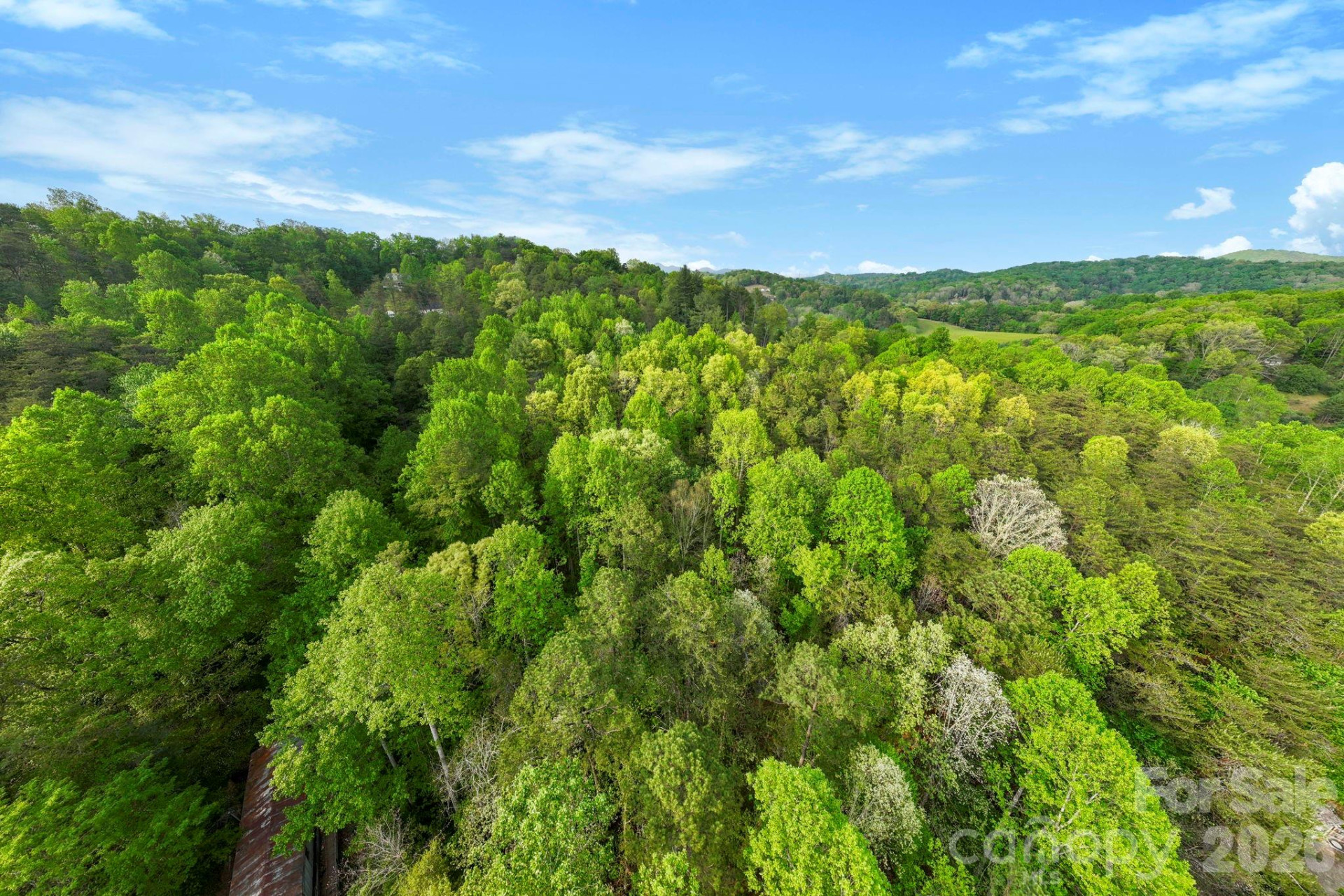 99999 Elana Chase Drive - Photo 8