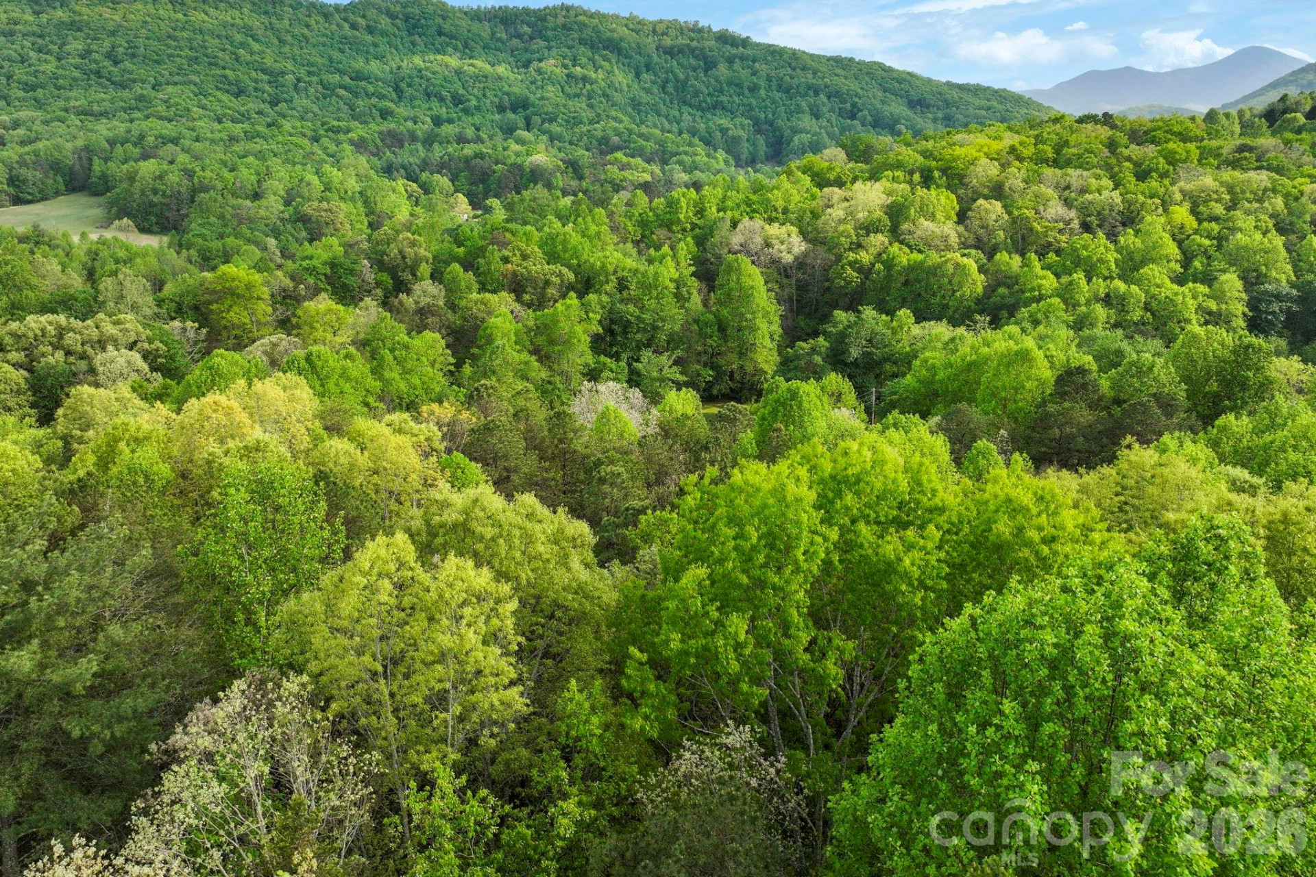 99999 Elana Chase Drive - Photo 9