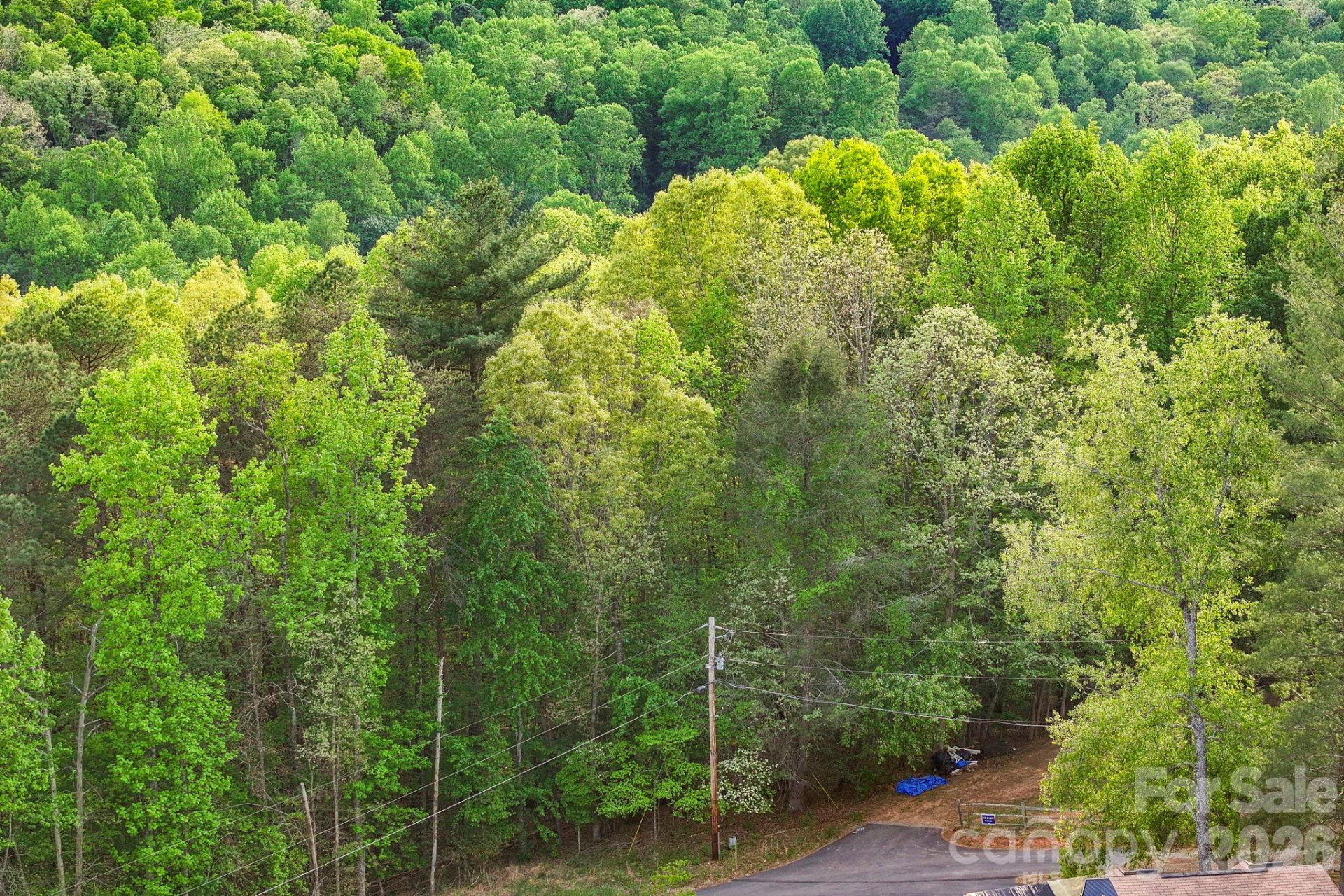 99999 Elana Chase Drive - Photo 10