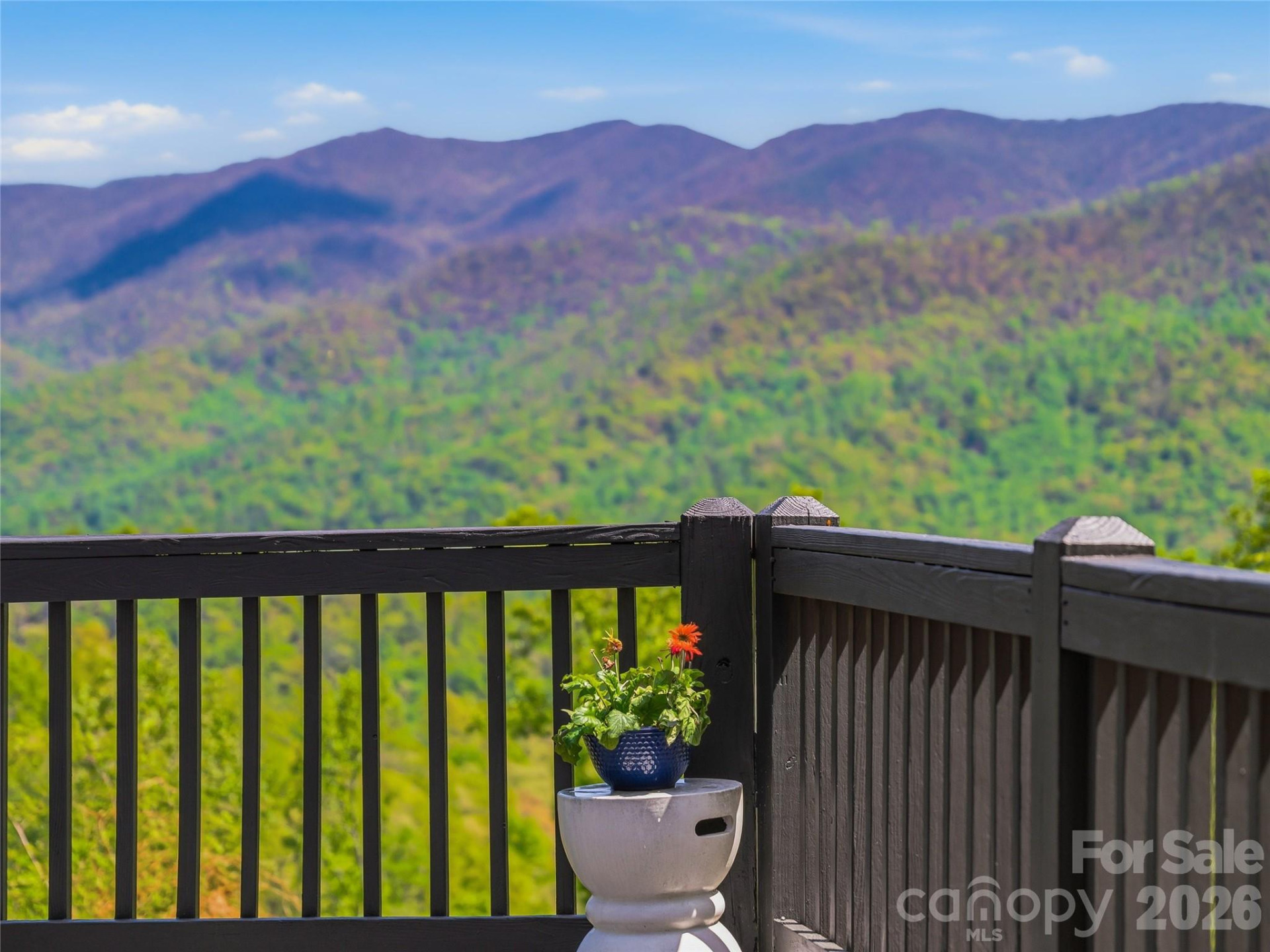 110 North Knob Lane - Photo 33