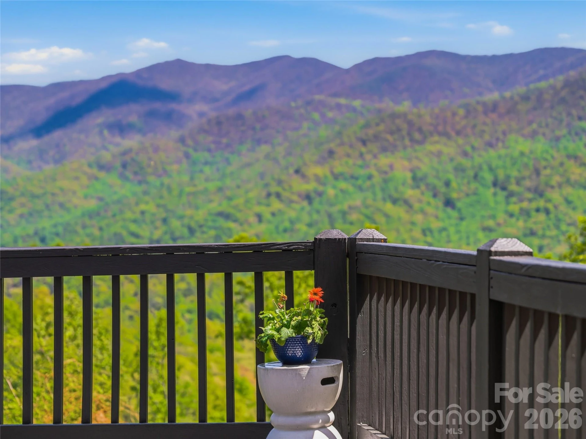 110 North Knob Lane - Photo 33