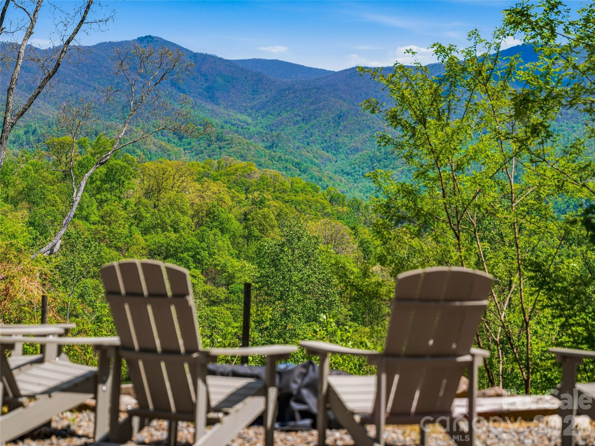 110 North Knob Lane - Photo 34