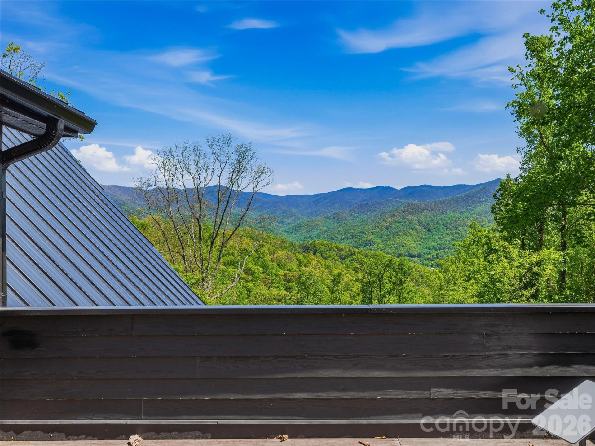 110 North Knob Lane - Photo 35