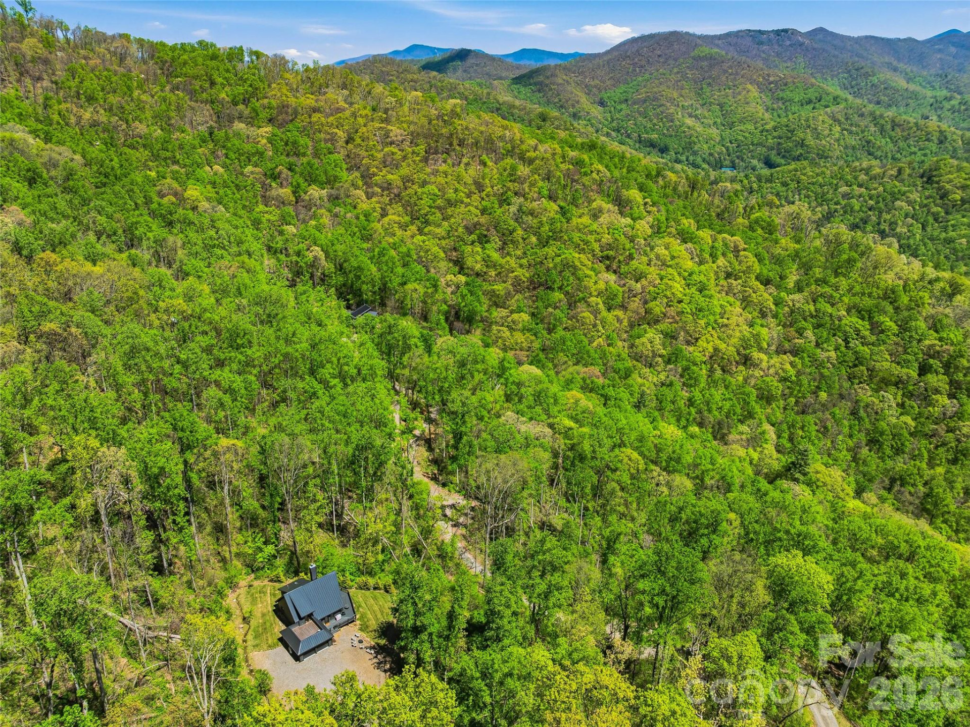 110 North Knob Lane - Photo 39