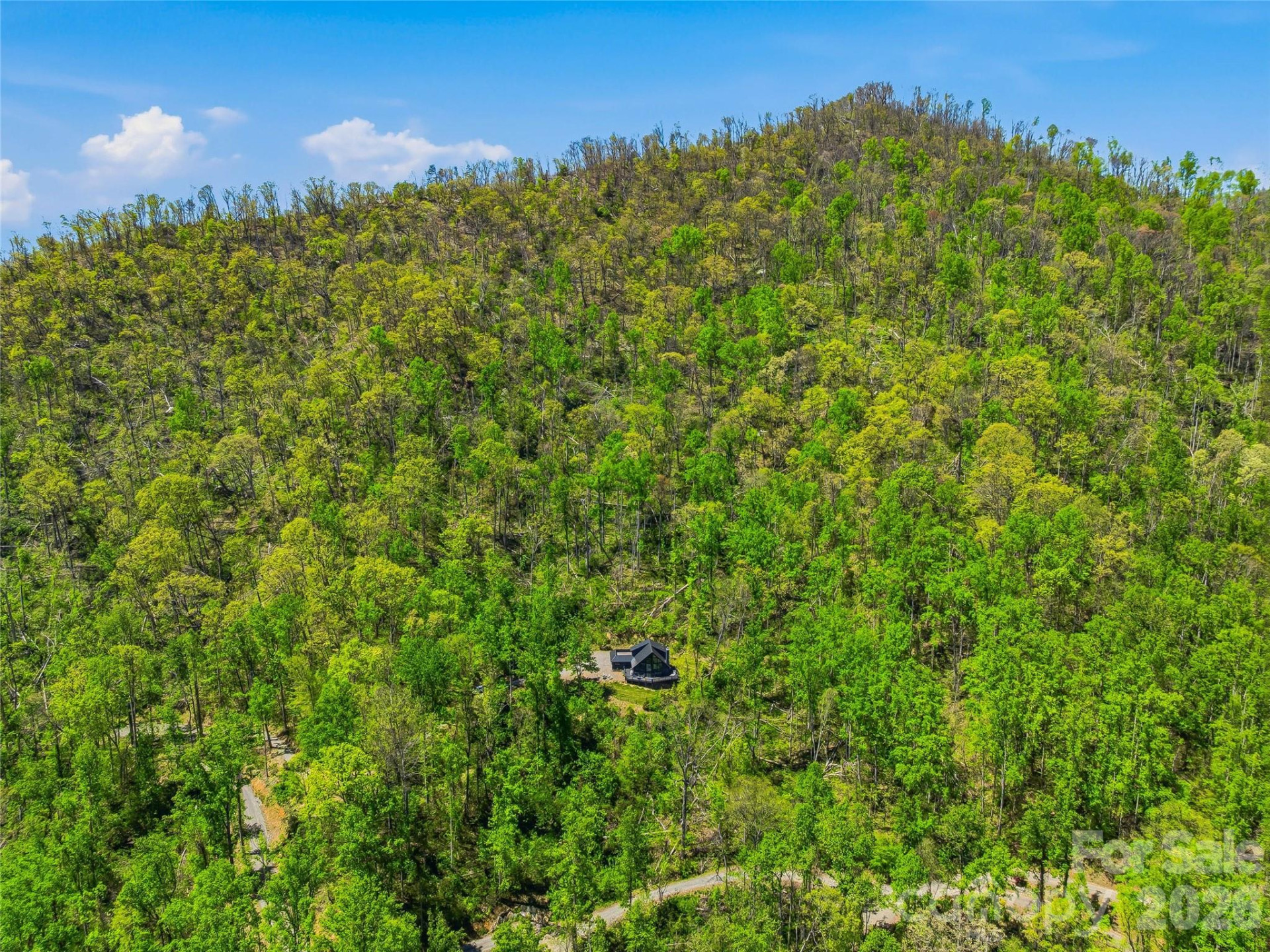 110 North Knob Lane - Photo 40