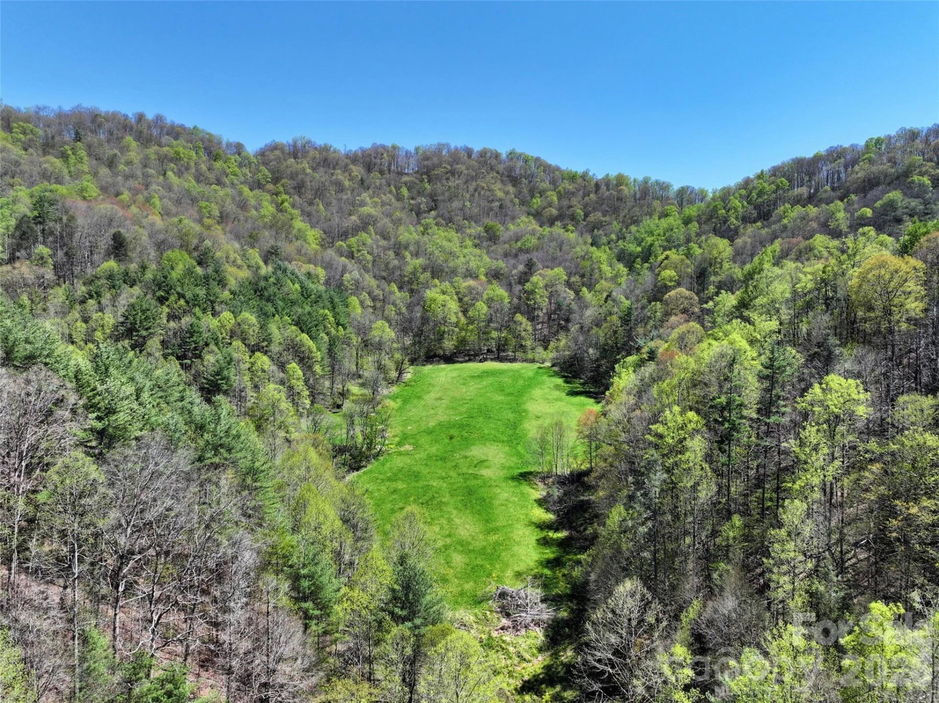 2180 Pigeon Roost Road - Photo 3