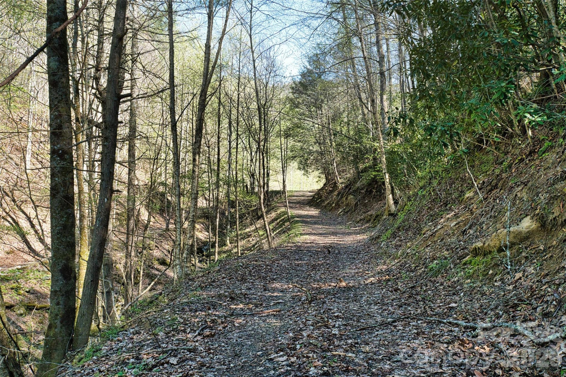 2180 Pigeon Roost Road - Photo 30