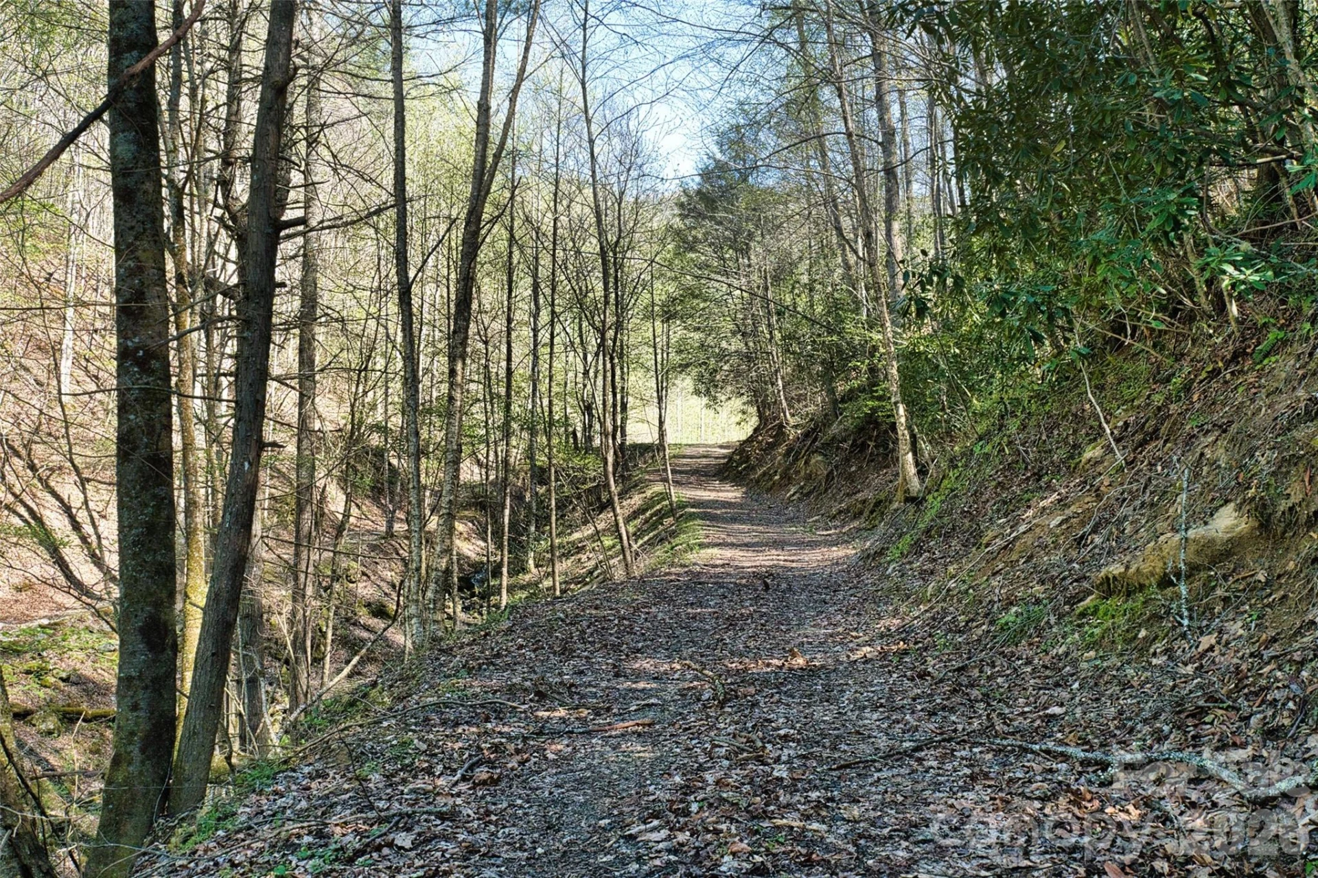 2180 Pigeon Roost Road - Photo 30
