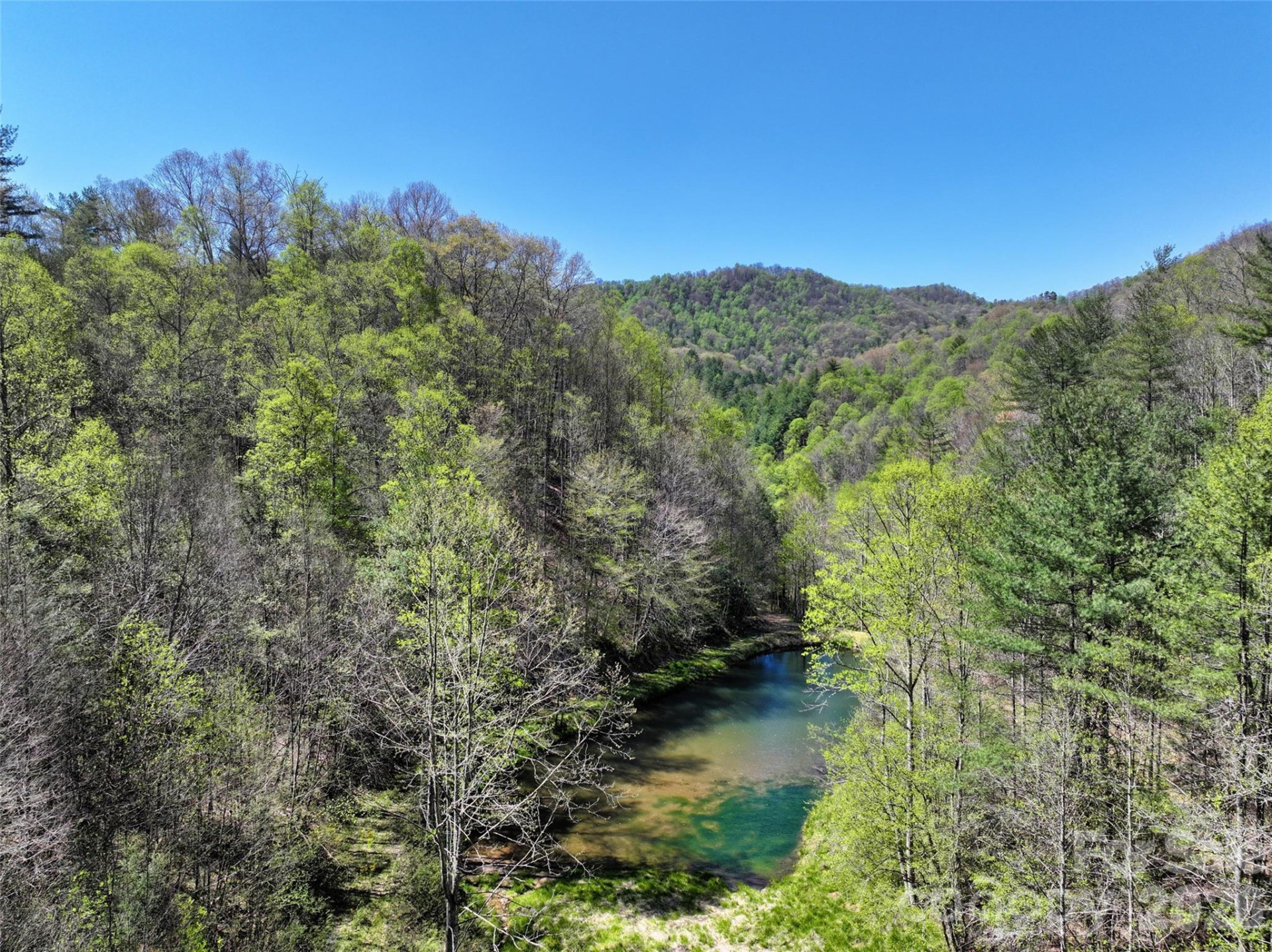 2180 Pigeon Roost Road - Photo 4