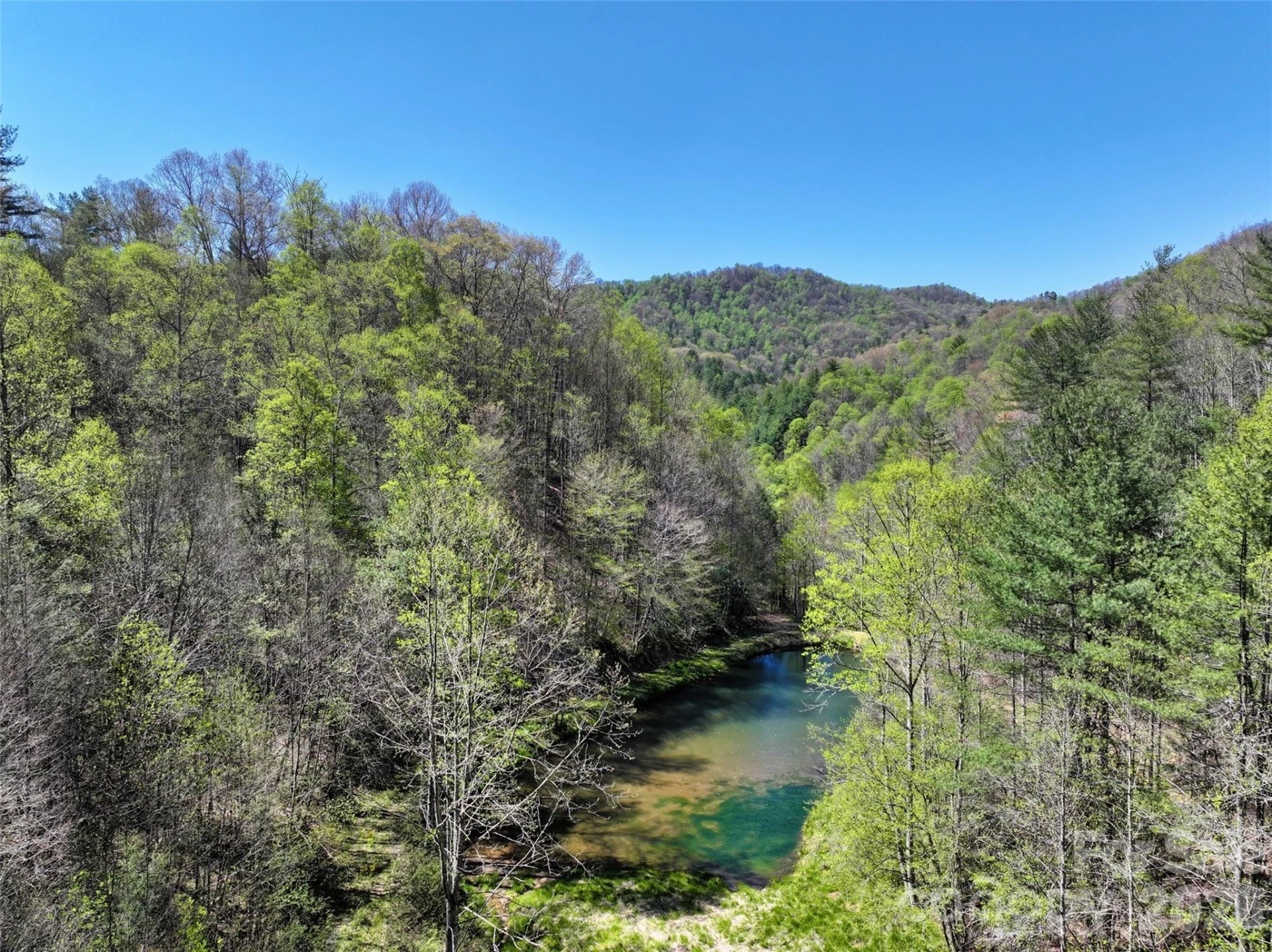 2180 Pigeon Roost Road - Photo 4