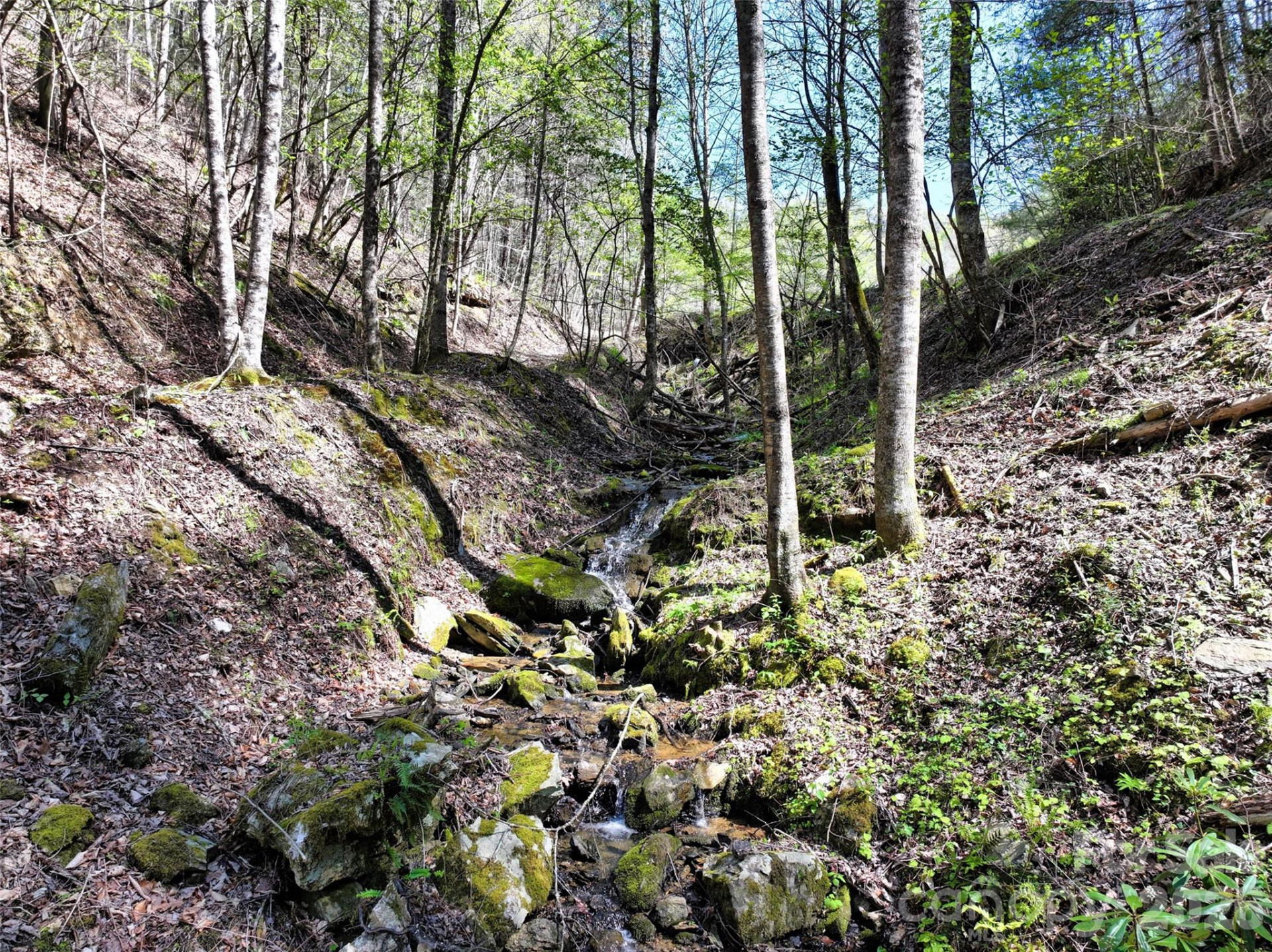 2180 Pigeon Roost Road - Photo 31