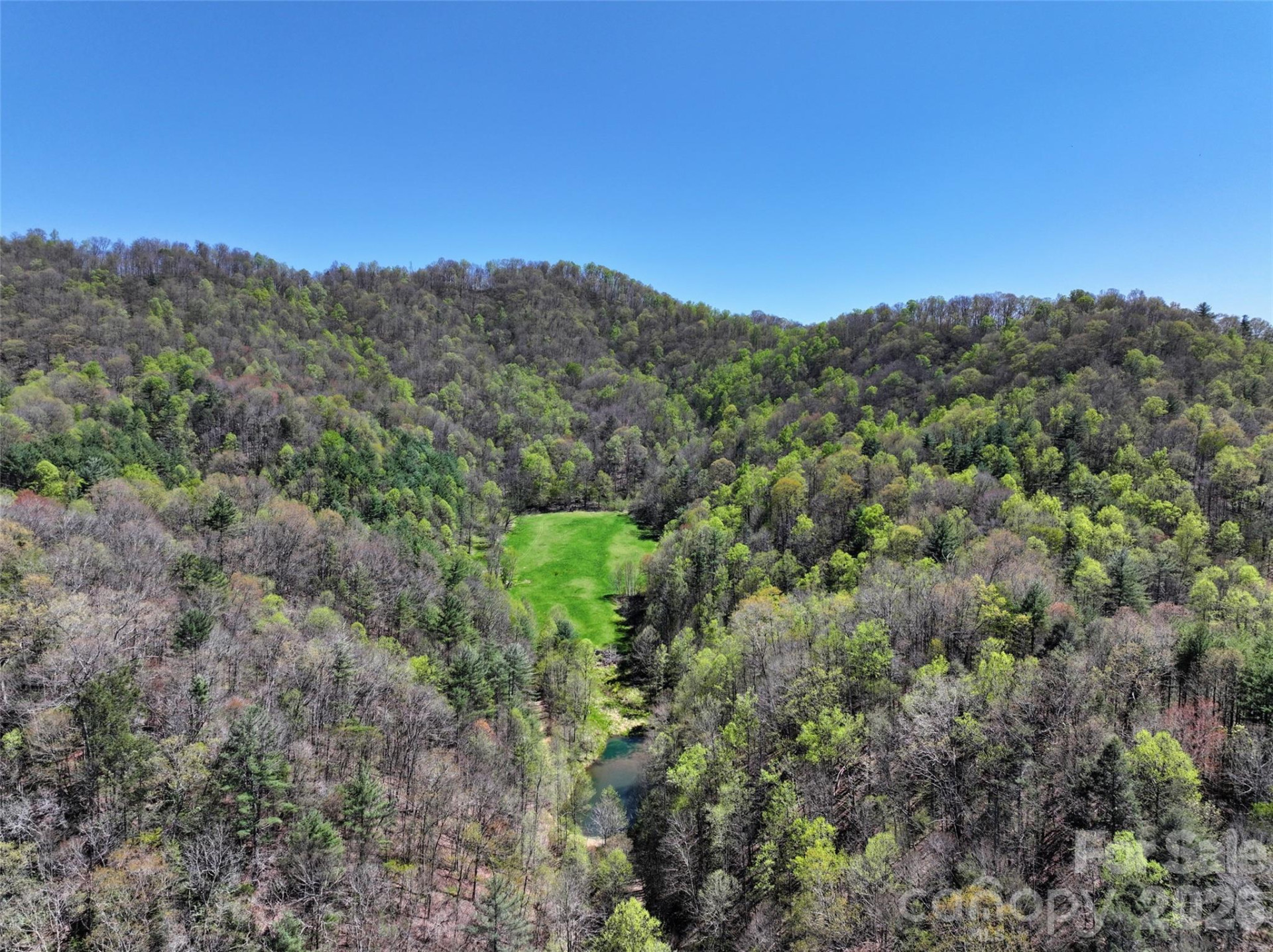 2180 Pigeon Roost Road - Photo 34