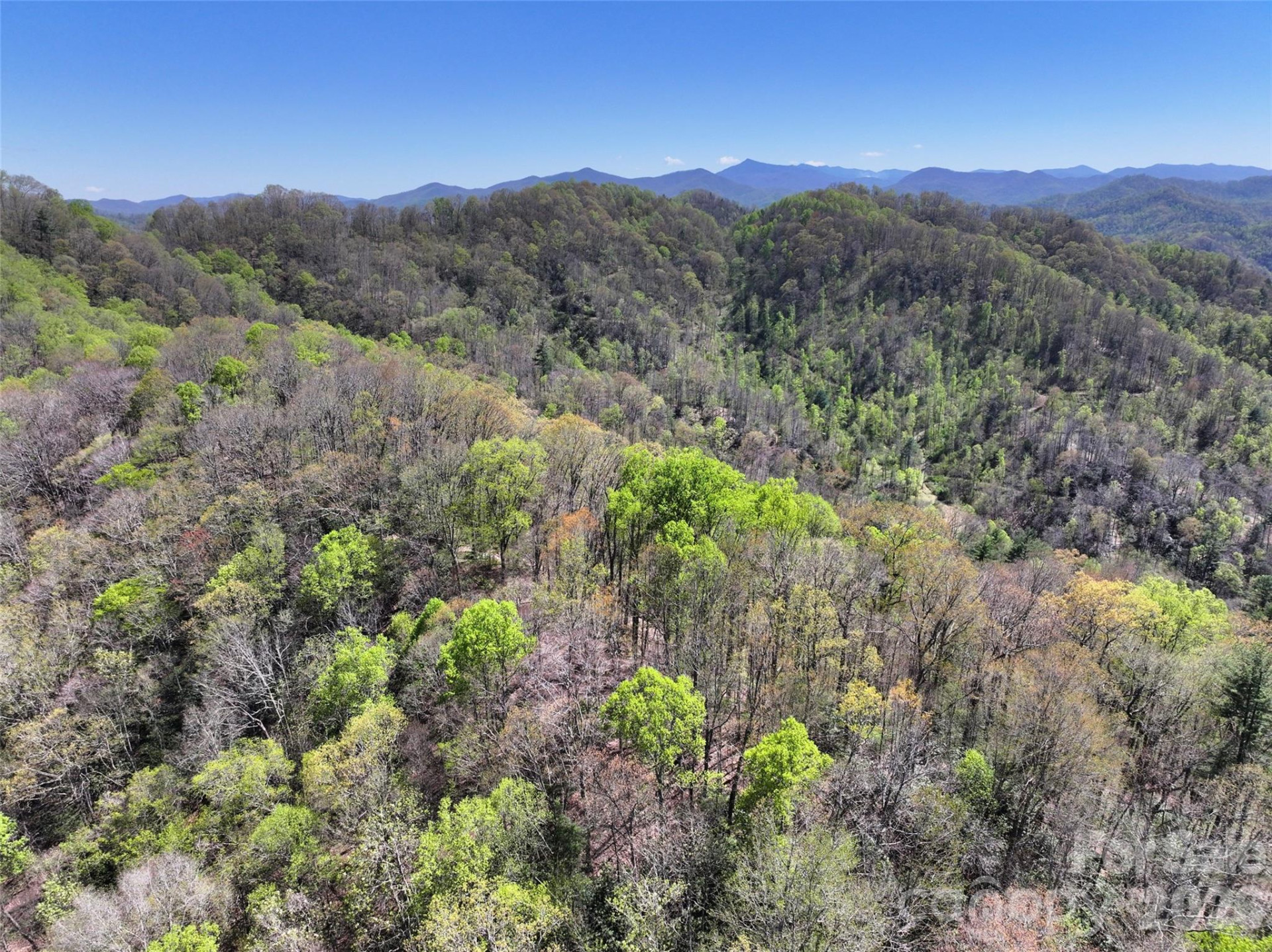 2180 Pigeon Roost Road - Photo 36