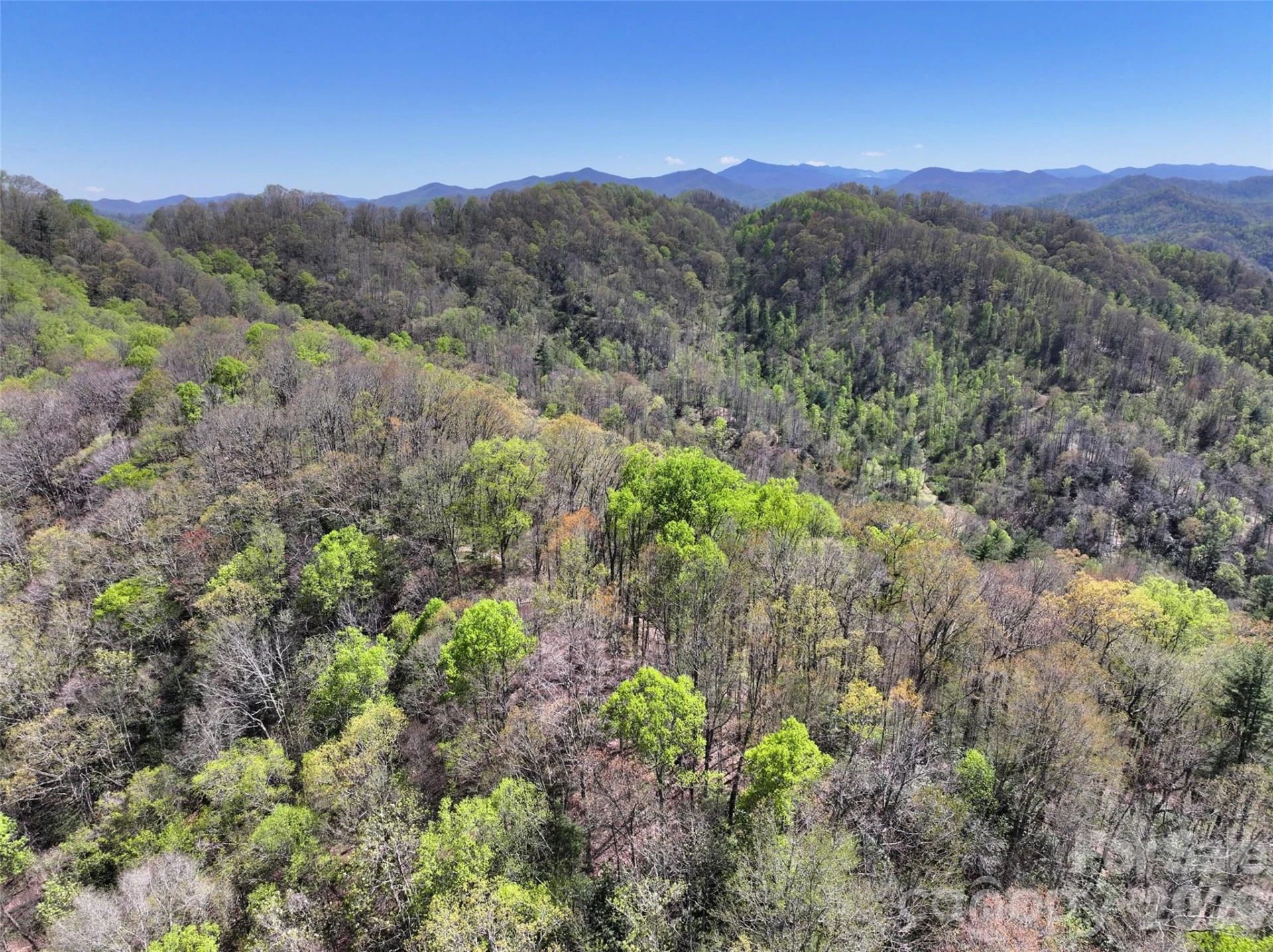 2180 Pigeon Roost Road - Photo 36