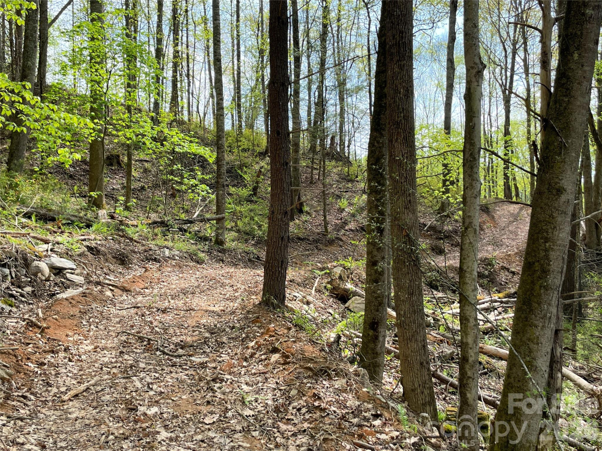 2180 Pigeon Roost Road - Photo 39