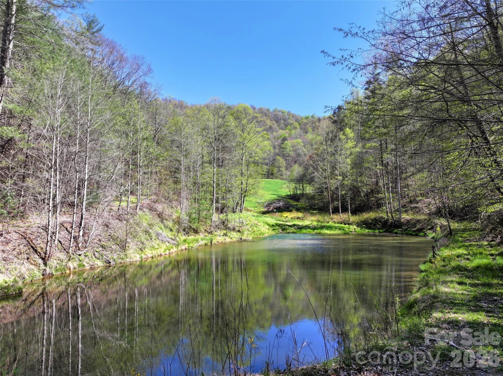 2180 Pigeon Roost Road - Photo 5