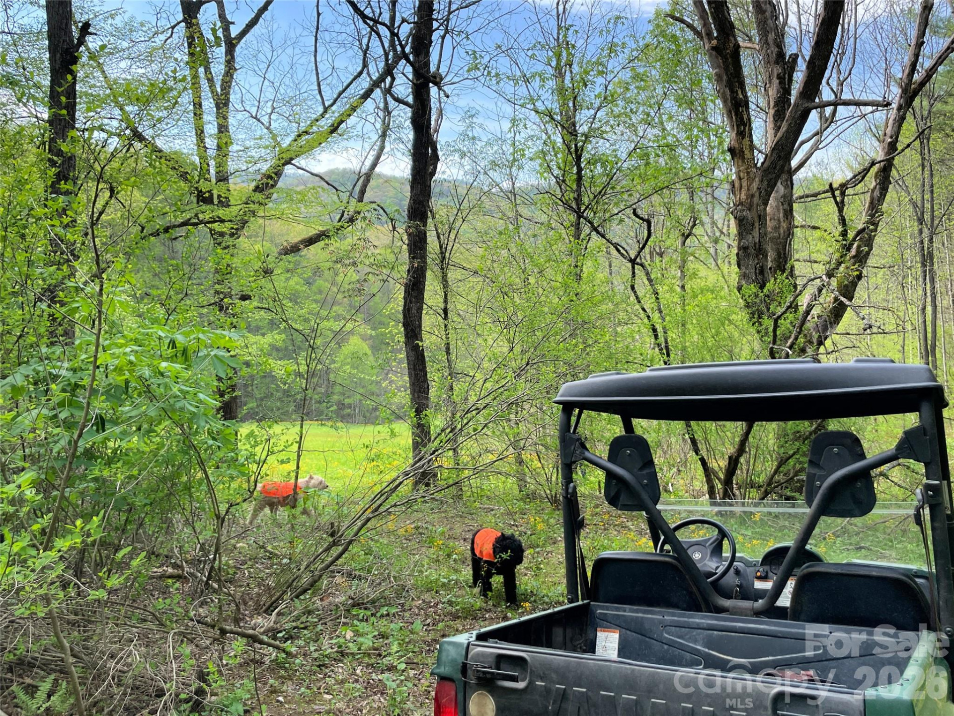 2180 Pigeon Roost Road - Photo 41