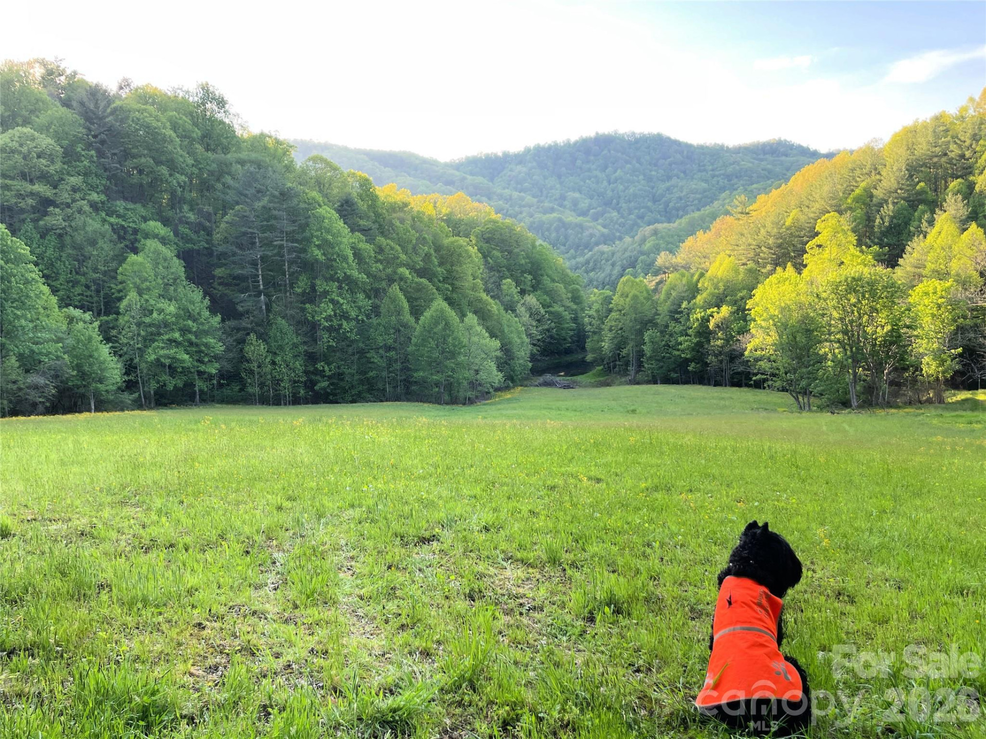 2180 Pigeon Roost Road - Photo 42