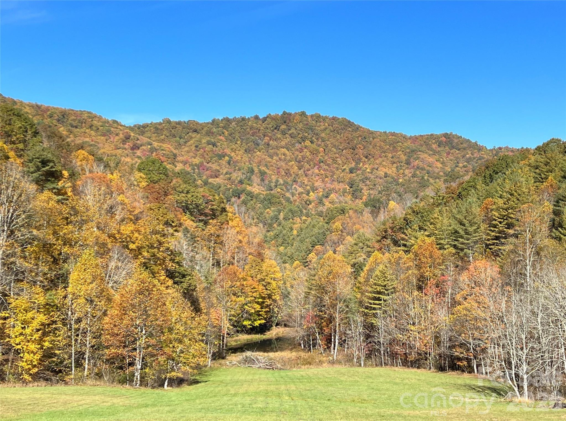 2180 Pigeon Roost Road - Photo 44