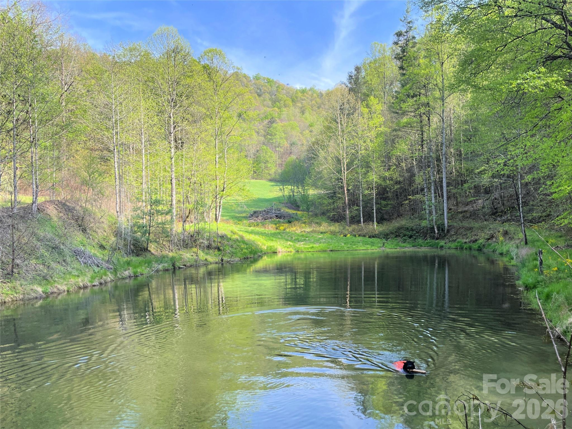 2180 Pigeon Roost Road - Photo 47