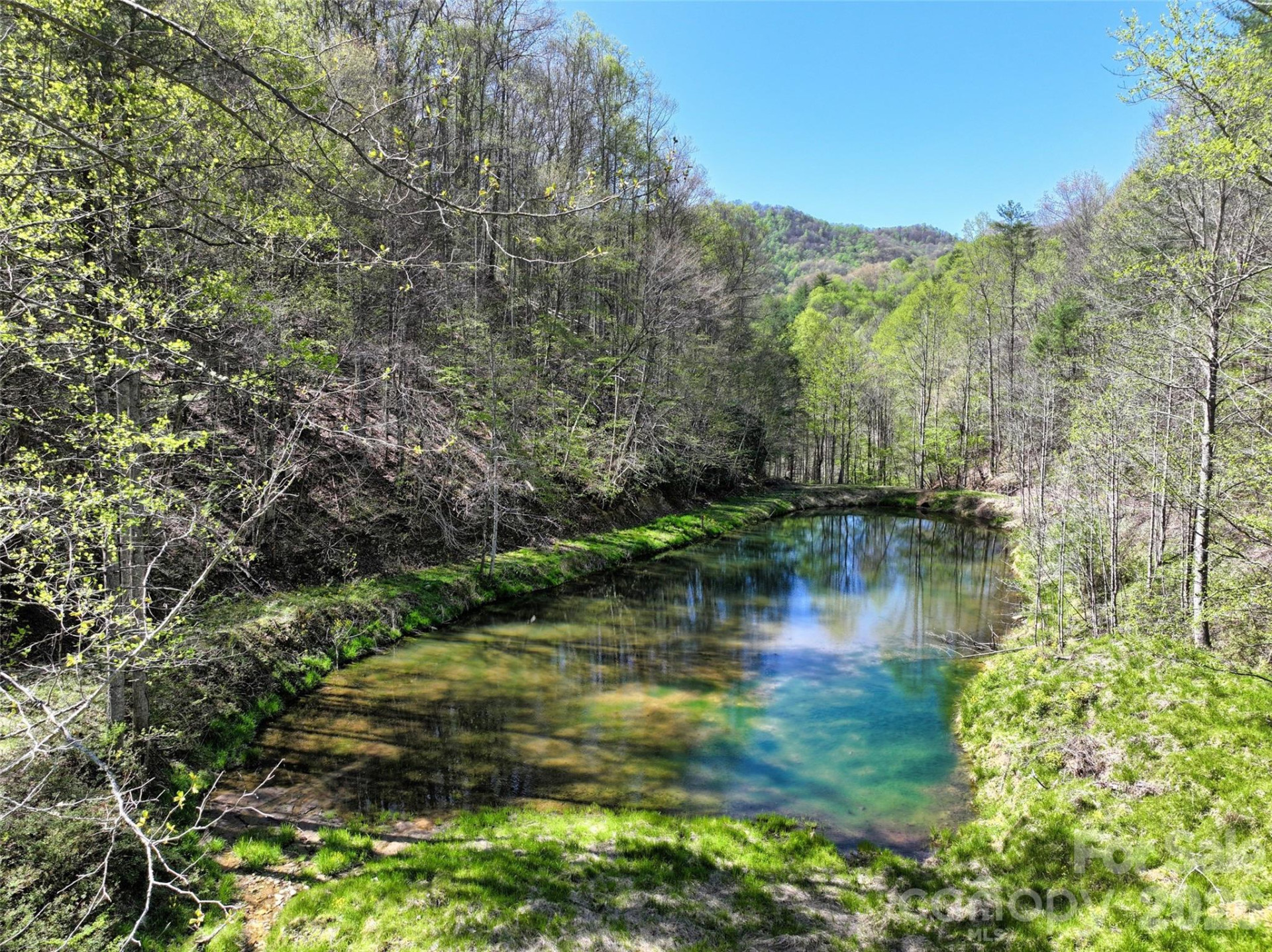 2180 Pigeon Roost Road - Photo 6