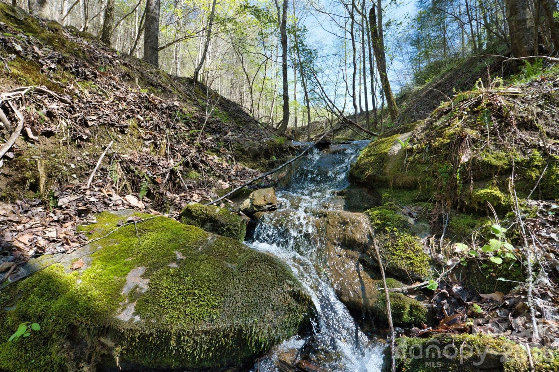 2180 Pigeon Roost Road - Photo 7