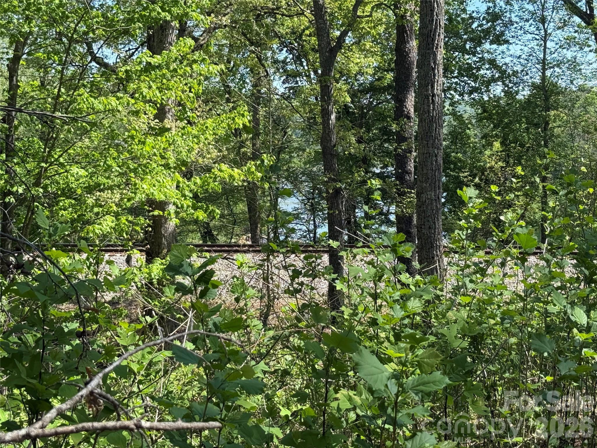 266 Mountain Creek Way - Photo 2